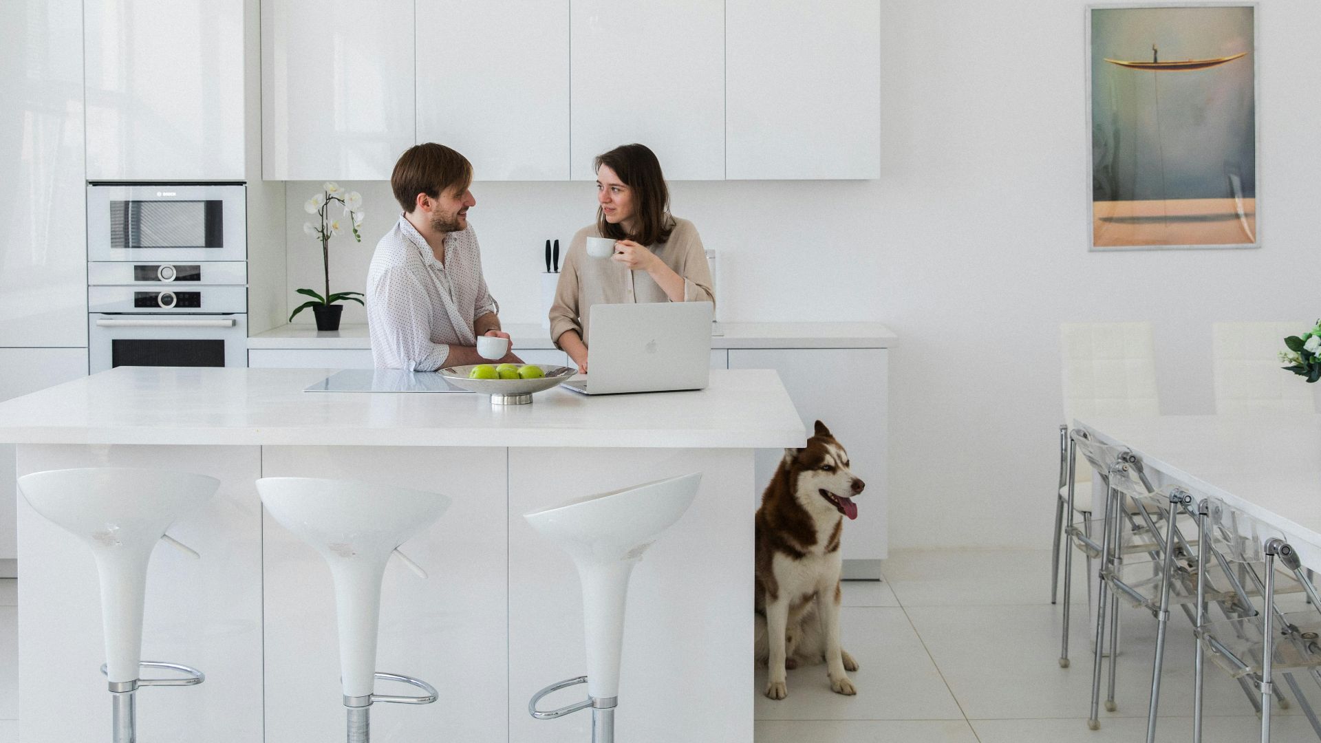 A couple chatting in a bright white kitchen with a husky by their side.