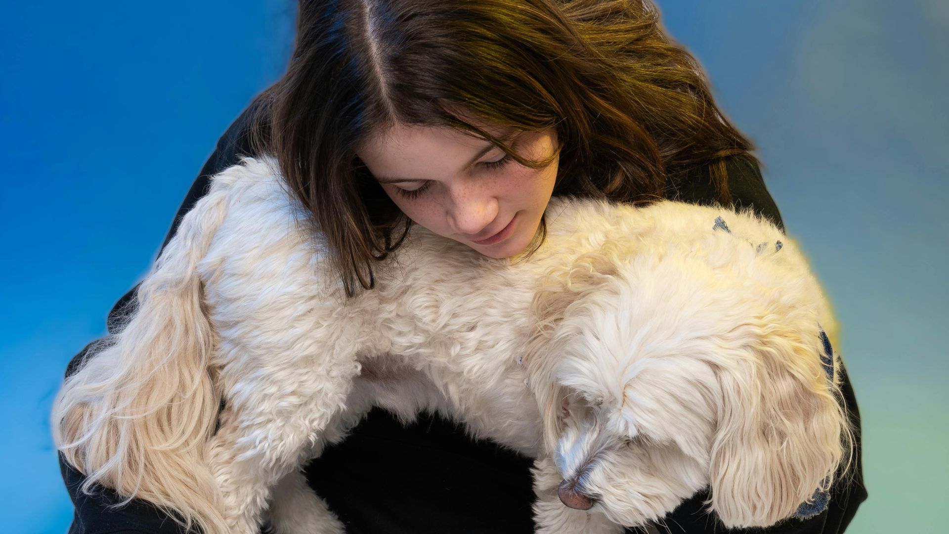 Young woman in casual attire sitting and holding a white fluffy dog against a colorful background.