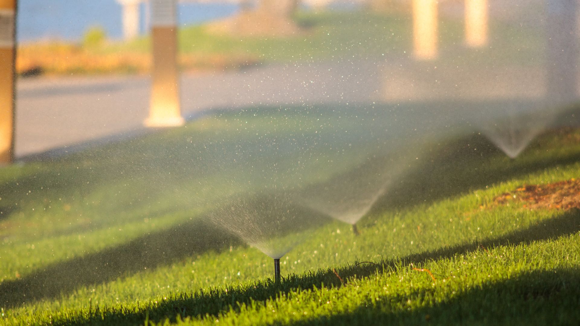 sprinklers + good light + 400mm lens