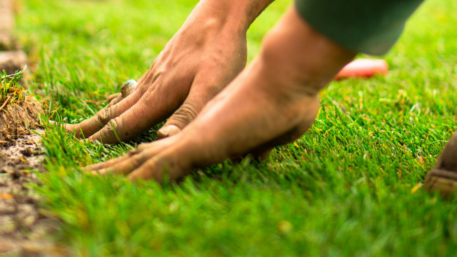 A close up of a person's feet on the grass
