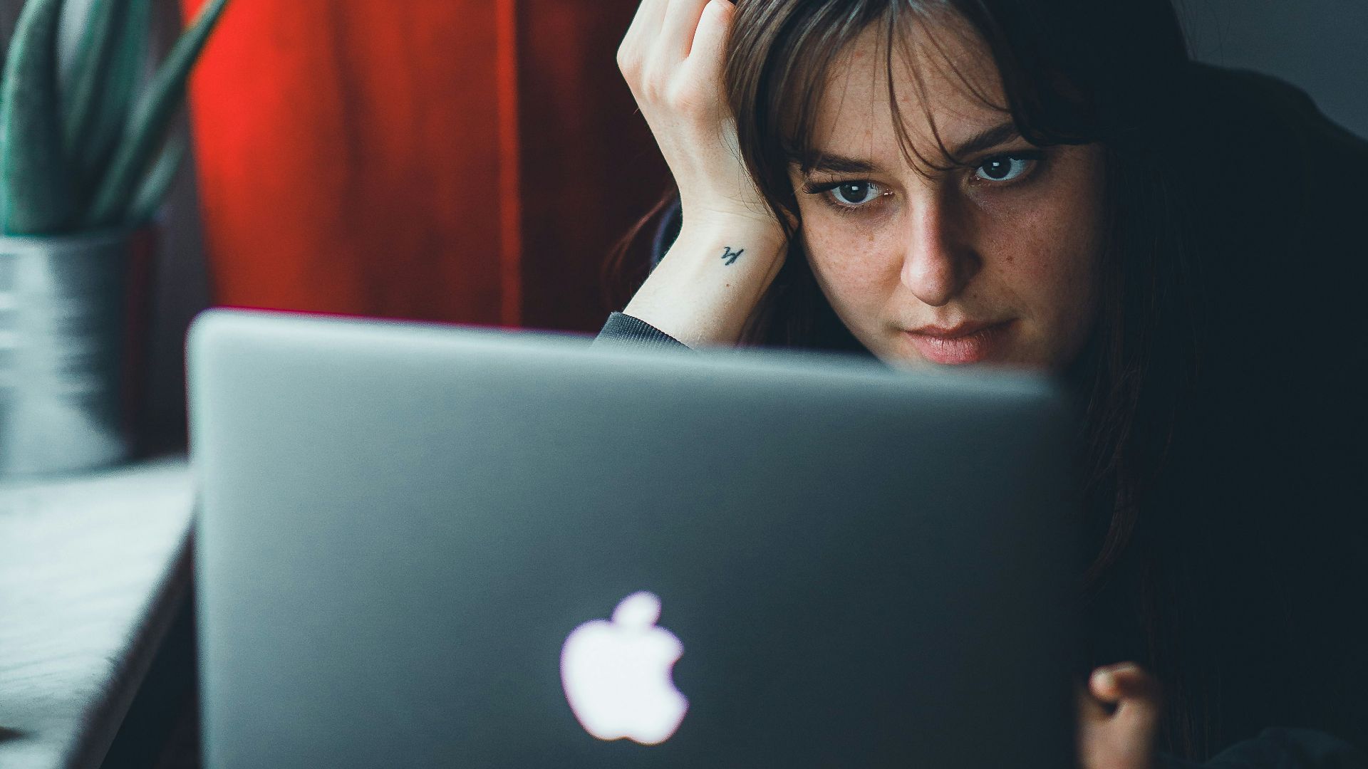 a person looking at a laptop