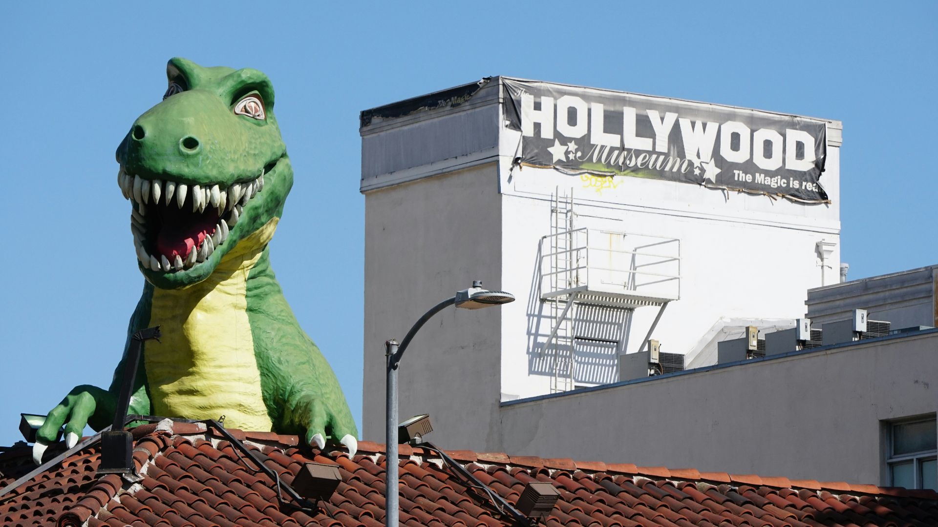 green frog plush toy on roof