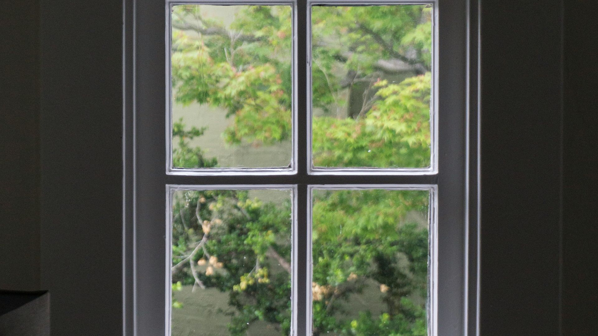 gray wooden windowpane