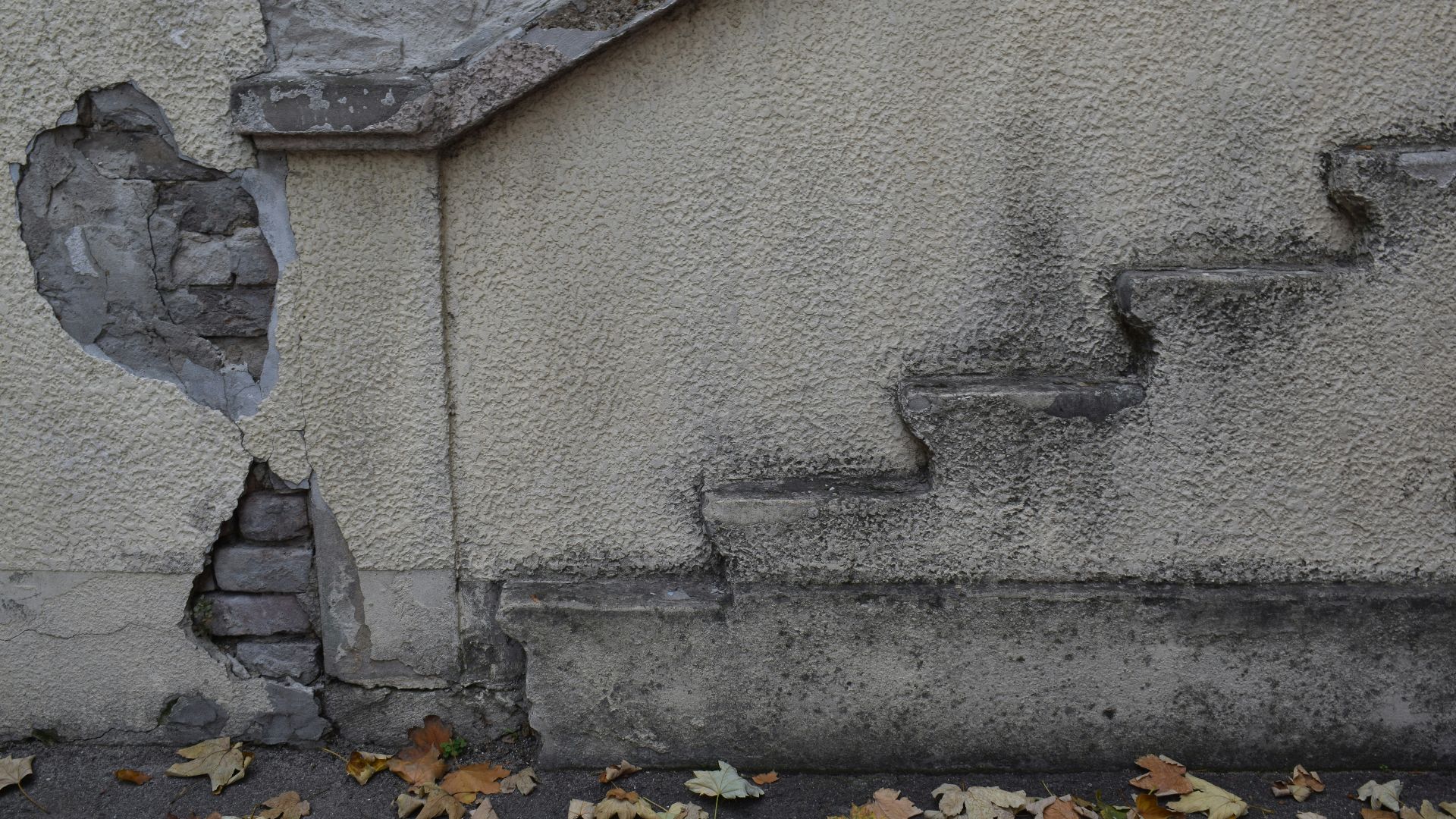 yellow leaves on gray concrete wall
