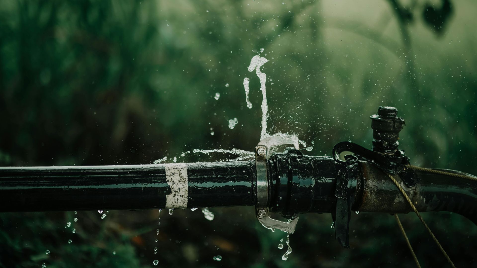 A detailed view of a leaking water pipe in a lush green garden setting.