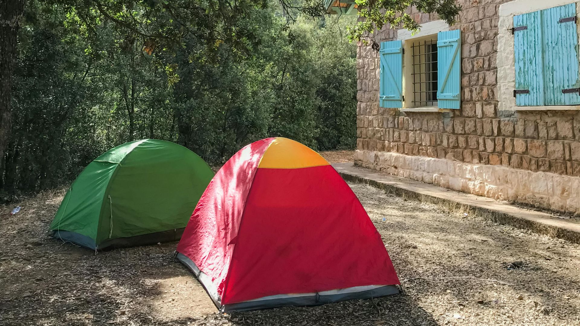 A serene campsite with two vibrant tents under a tree next to a rustic house.