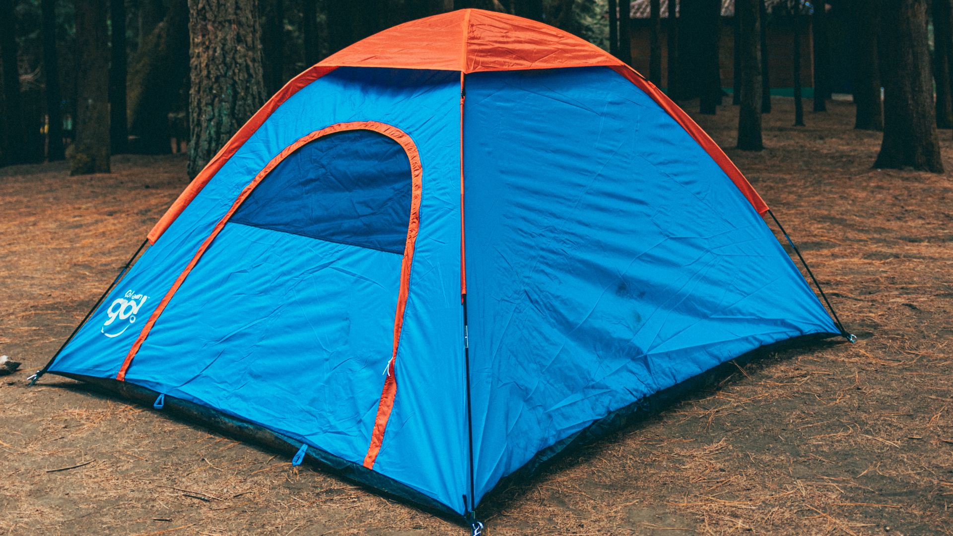 A vibrant blue tent pitched in a serene forest park in Mexico City, ideal for outdoor adventure.