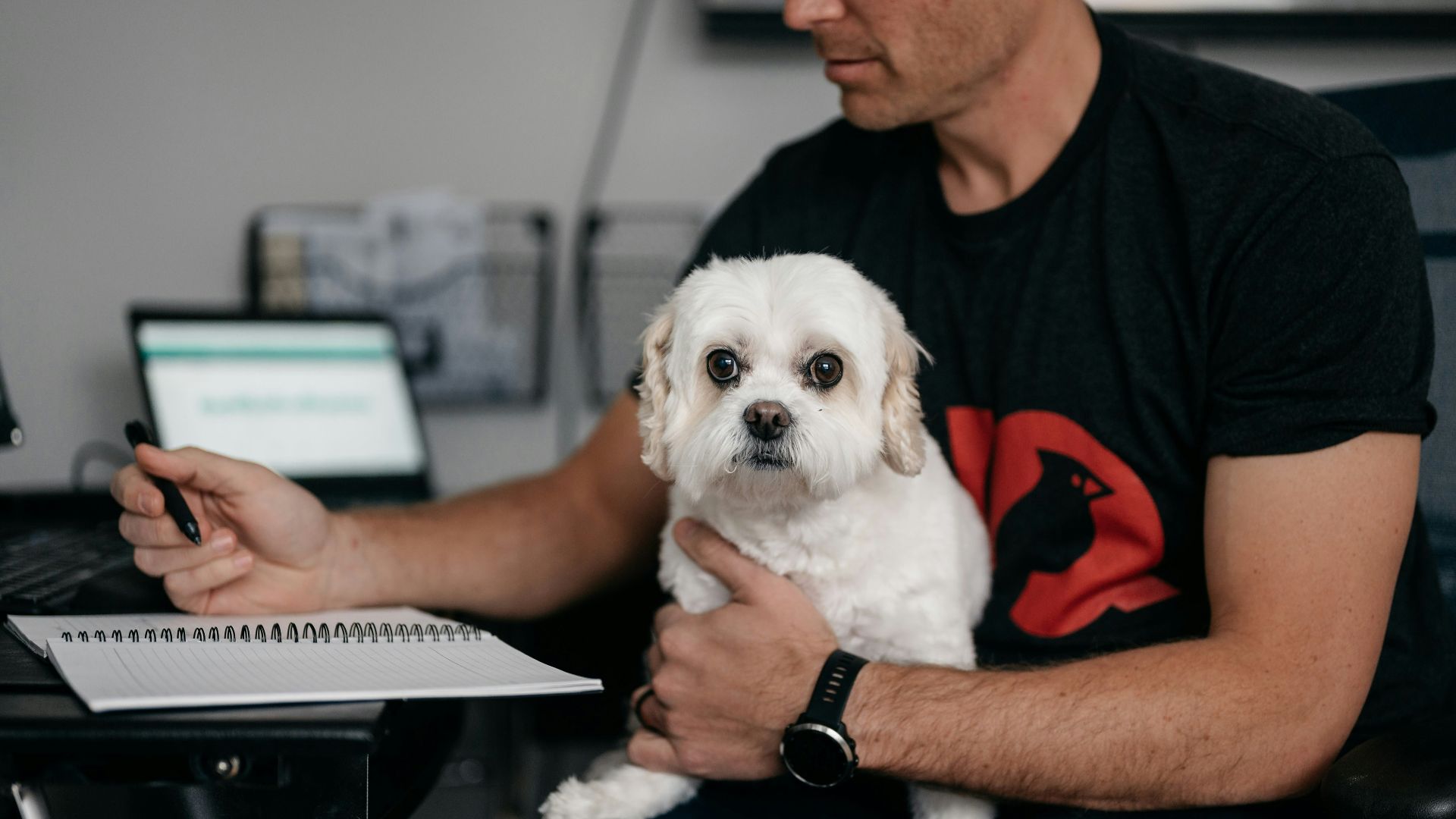 a man holding a dog