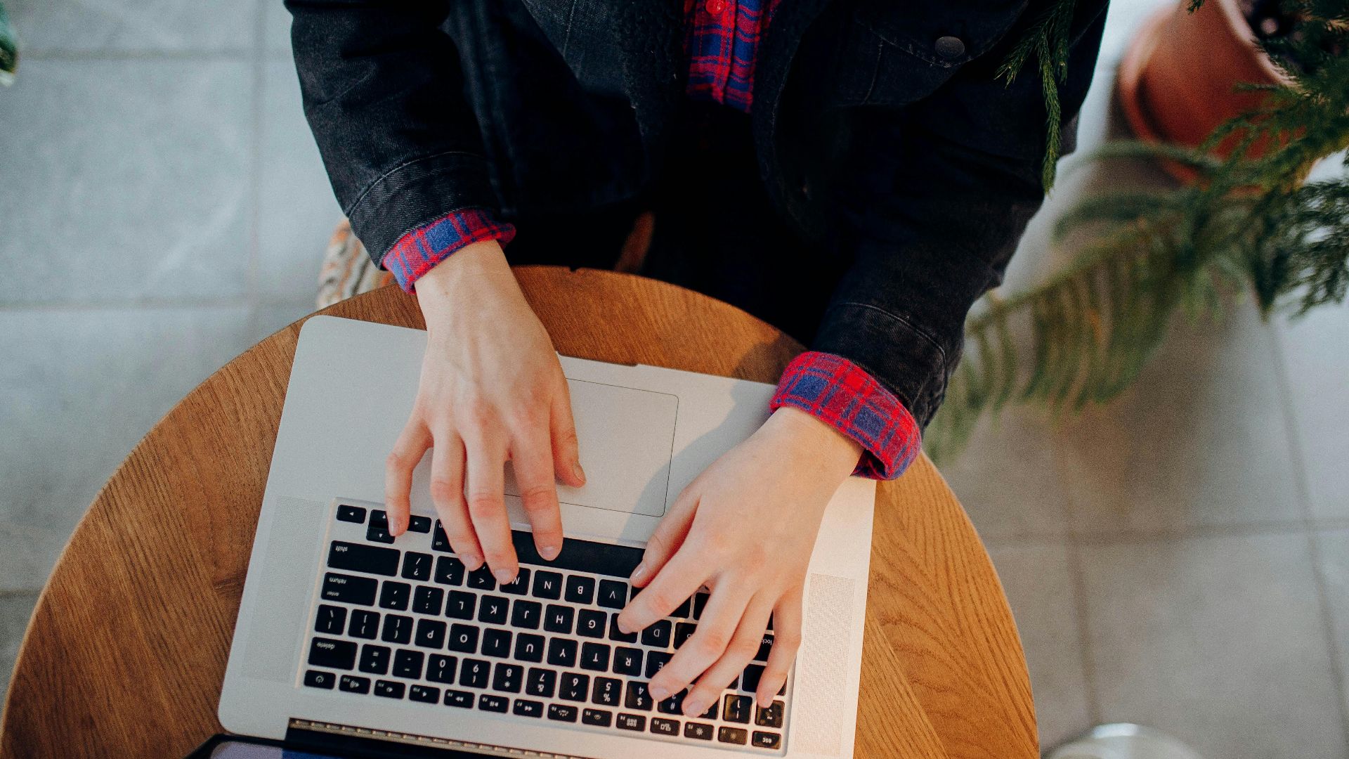Hands typing on a laptop keyboard from above, surrounded by plants indoors.