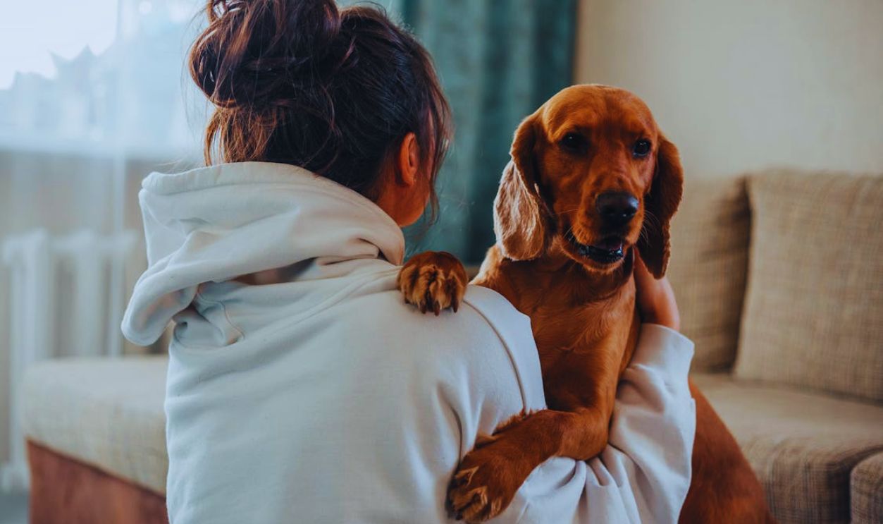 A woman in a hoodie cuddling her dog on a sofa, capturing a moment of affection and companionship