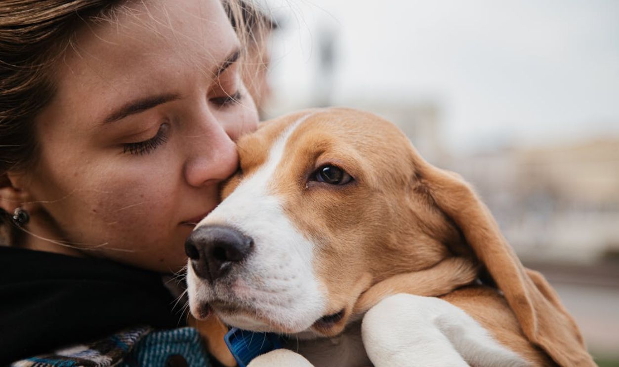 A close-up of a woman lovingly hugging a beagle outdoors, showcasing warmth and friendship
