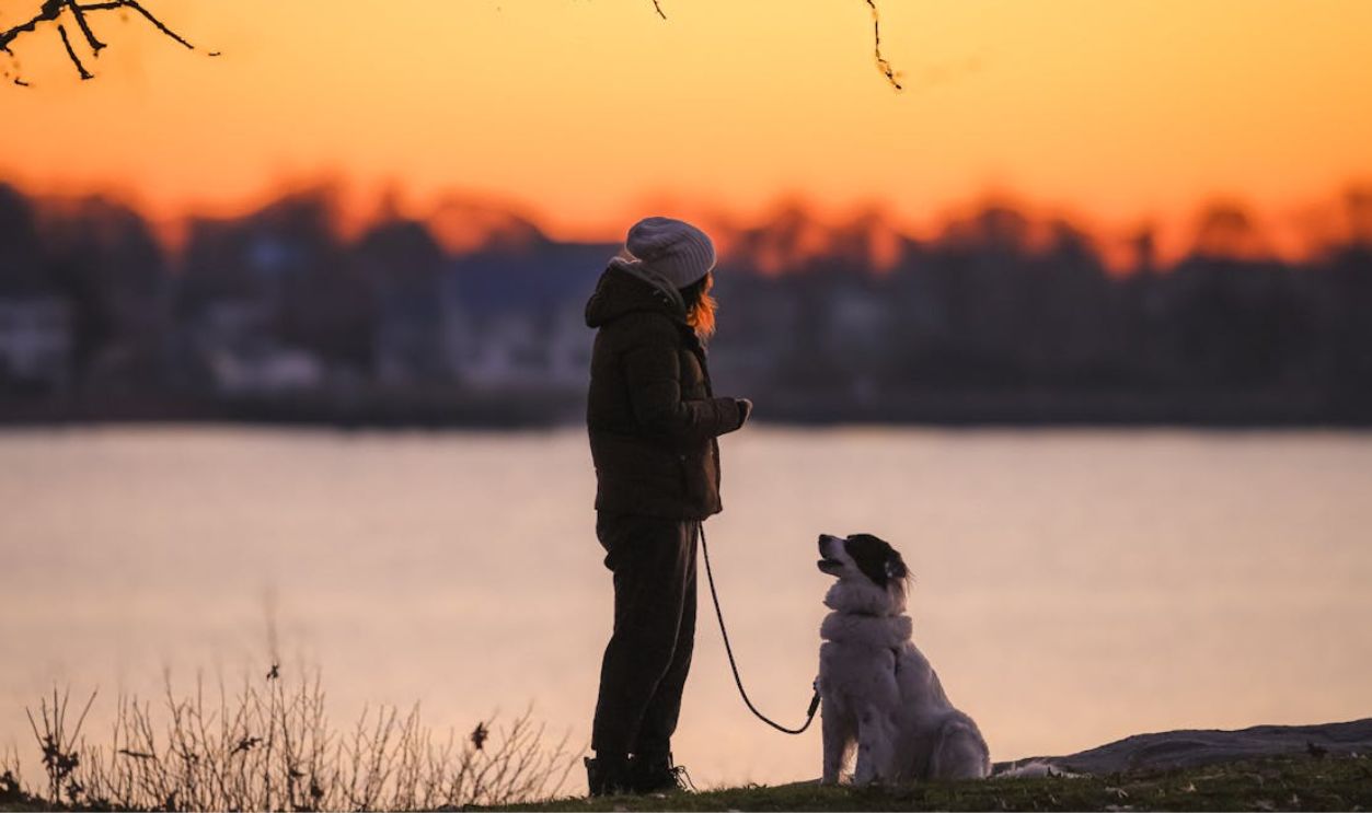 Silhouetted woman and dog by lake during a serene twilight moment