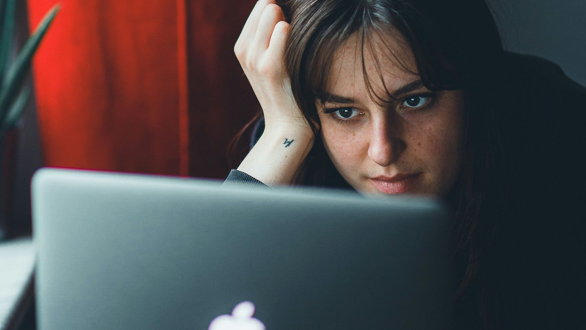 a person looking at a laptop