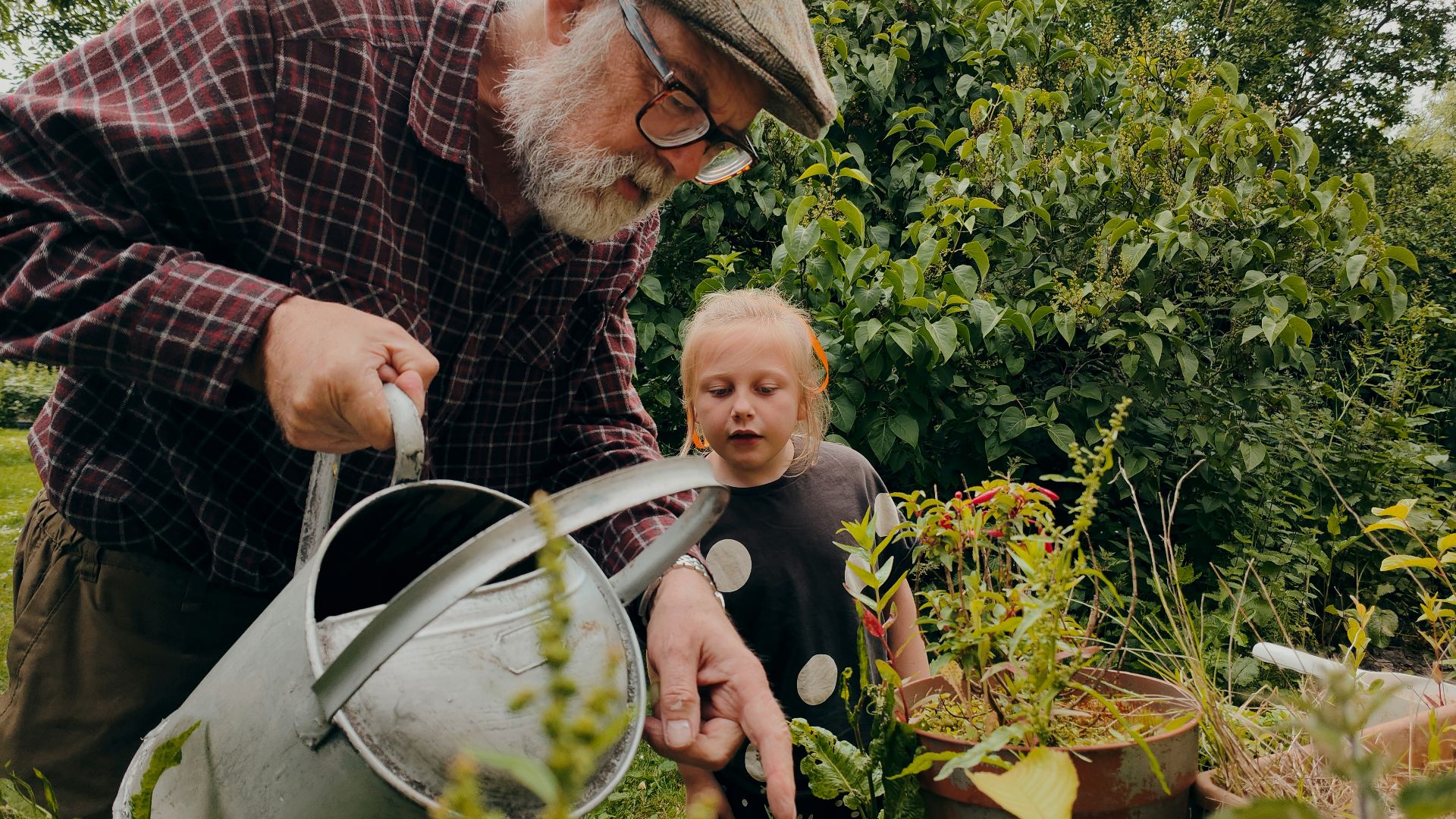 a man and a child looking at a plant