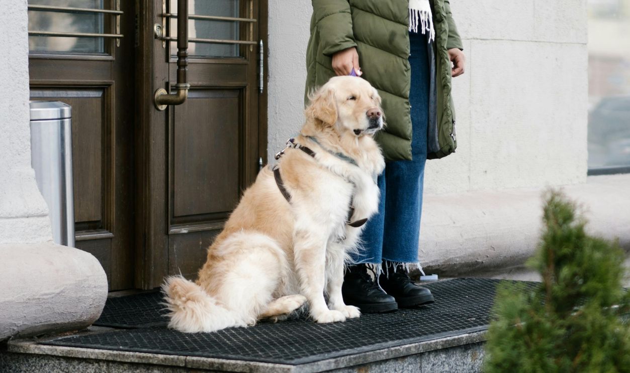 Adult woman with visual impairment stands outdoors with guide dog, wearing sunglasses and winter clothing