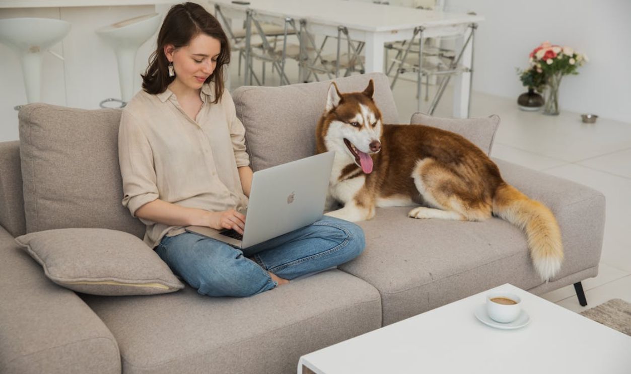 Woman sits with her Husky dog while using laptop, in a cozy living room