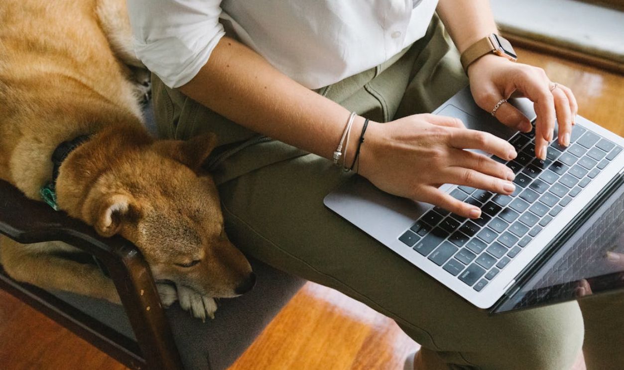 A woman working on a laptop with her dog resting nearby, creating a cozy and relaxed atmosphere indoors