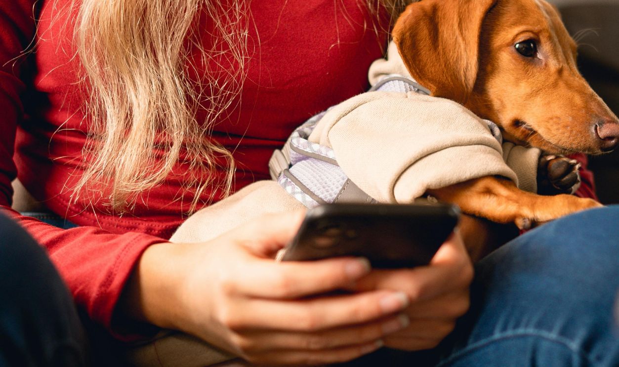 A woman sitting with a dachshund puppy, both focused on a smartphone, in a cozy indoor setting