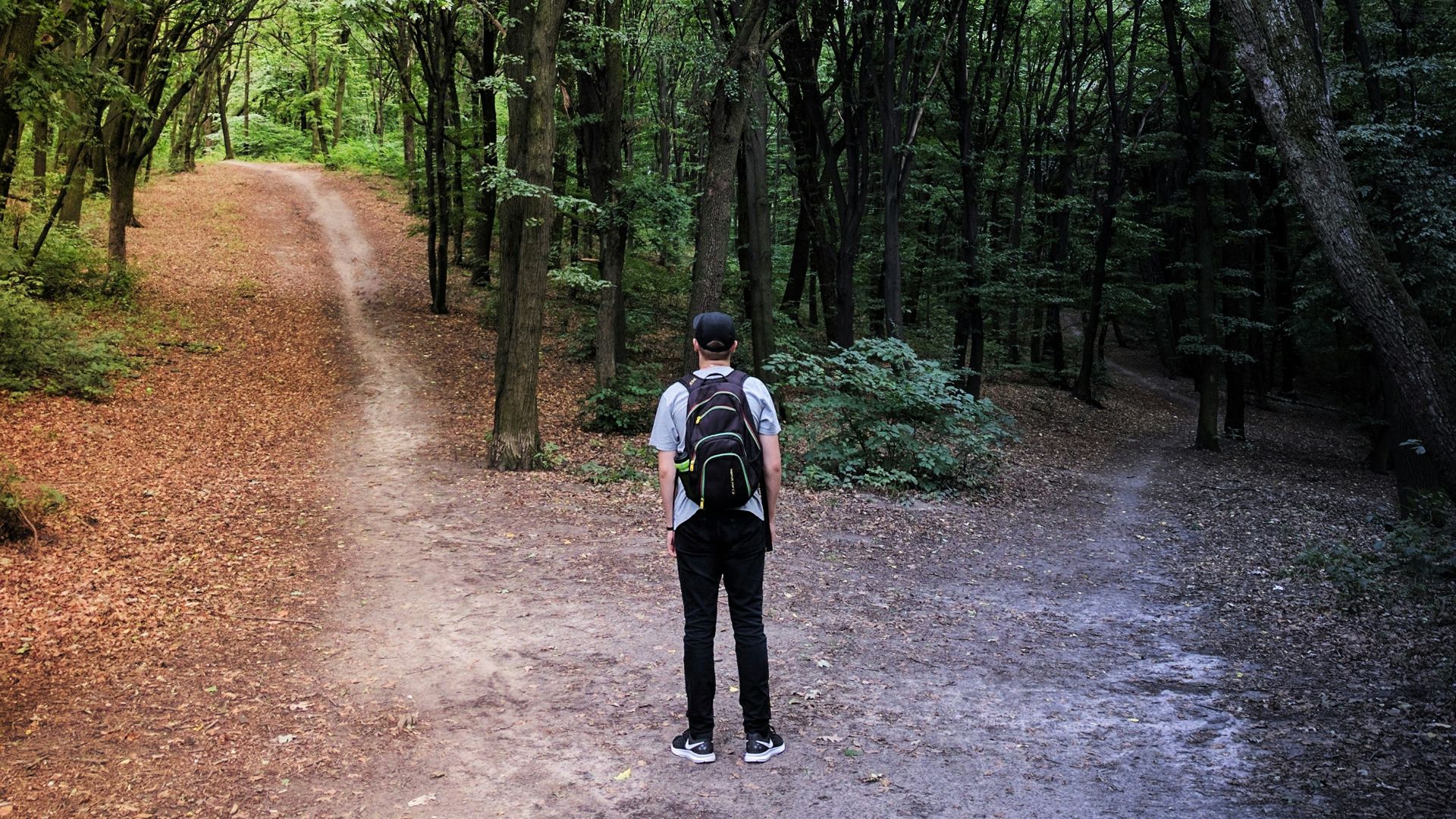 man standing in the middle of woods