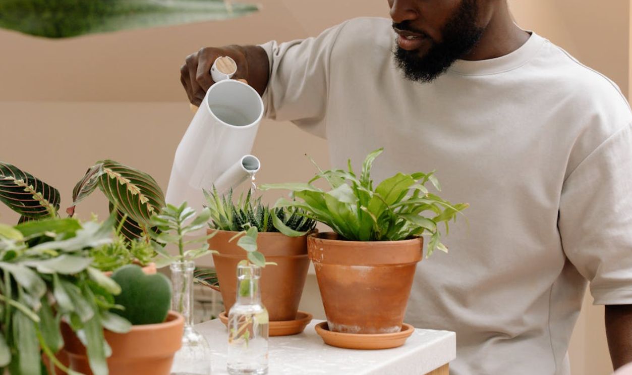 A man listening to music while watering indoor plants in clay pots, focusing on growth