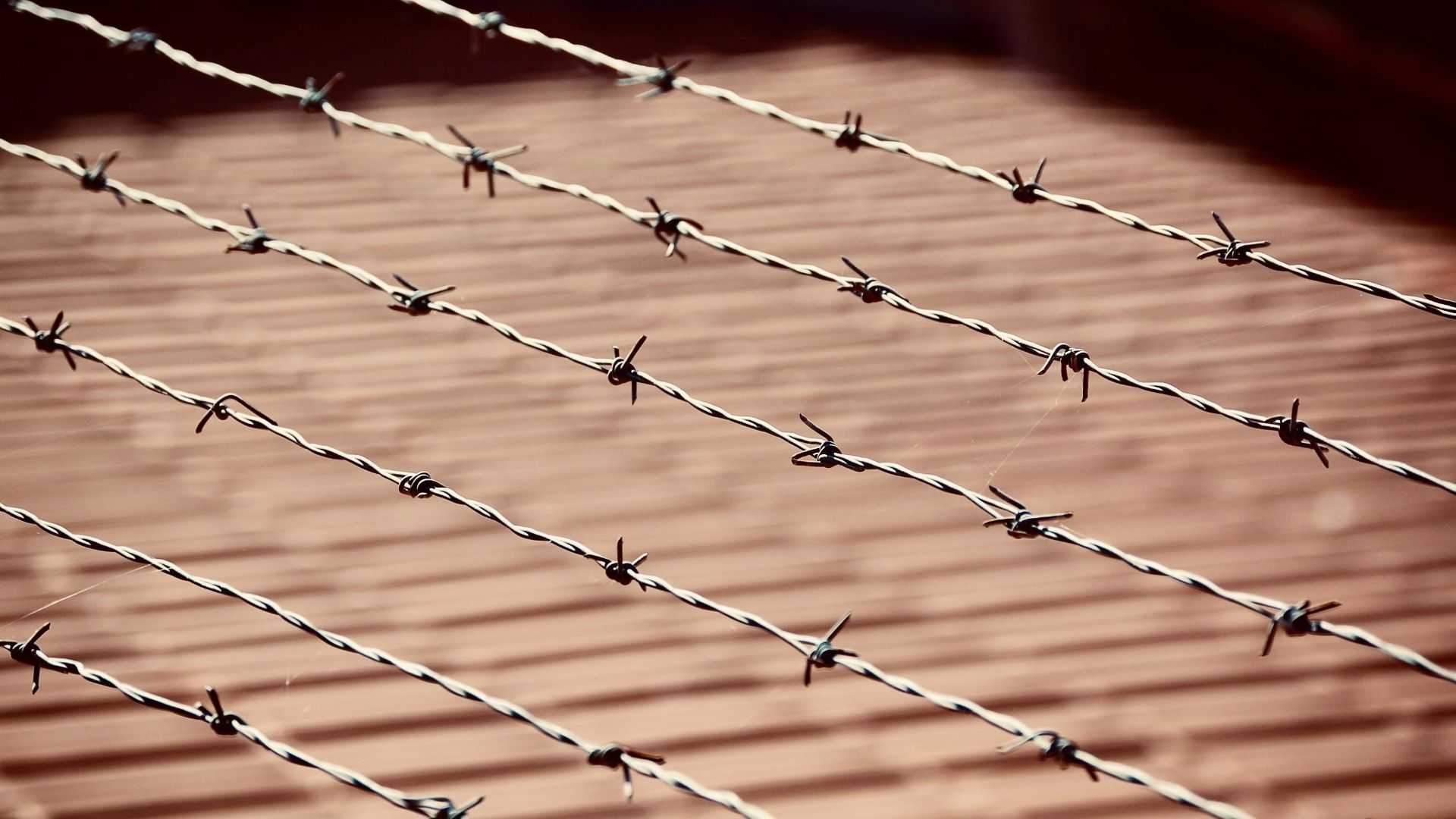 Barbed wire fence with a textured background.