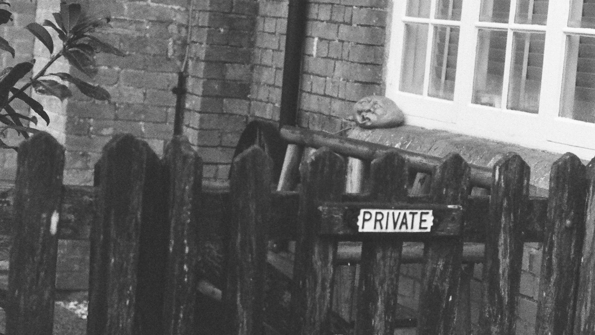 Wooden fence with a