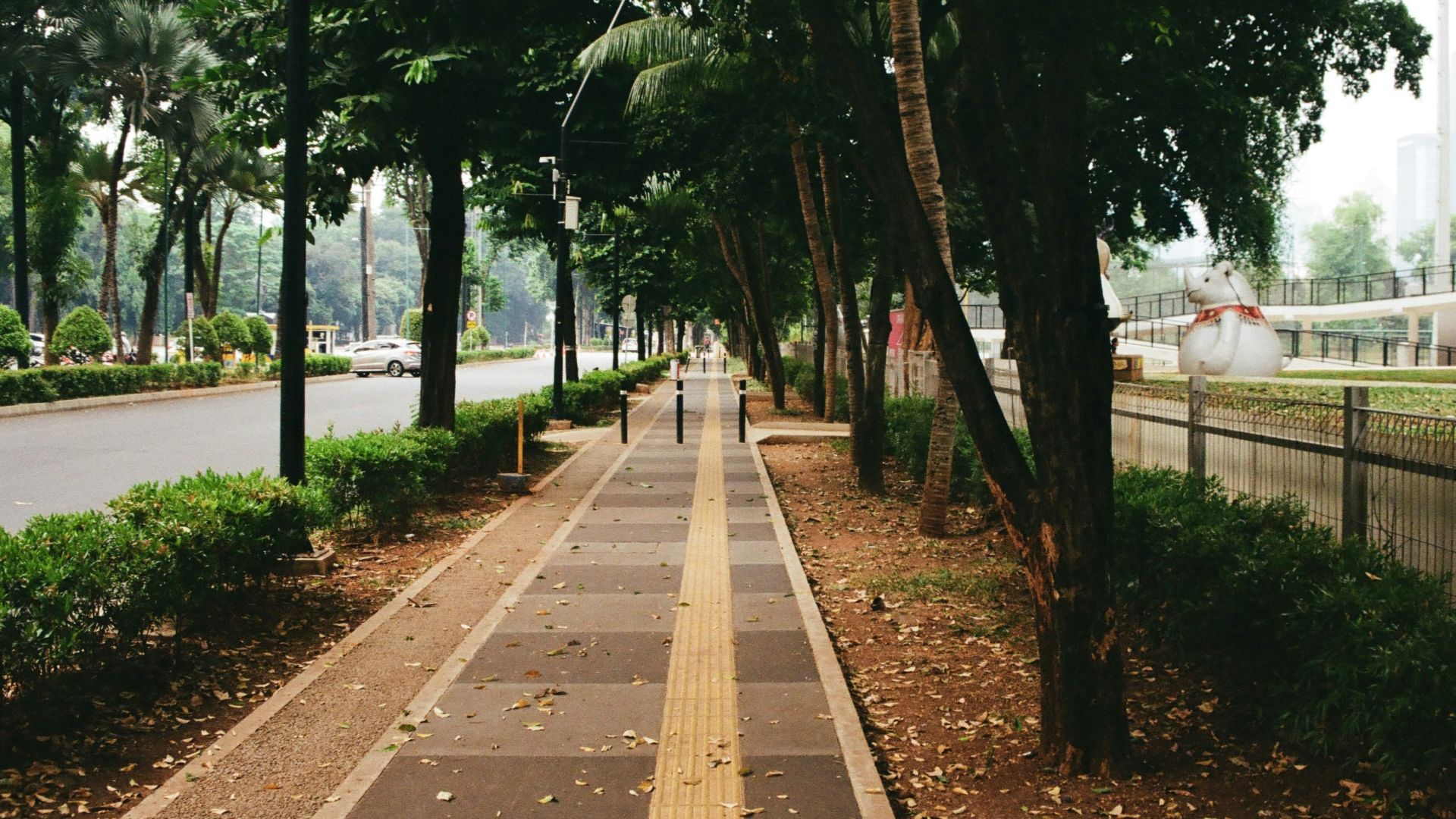 a tree lined sidewalk next to a street