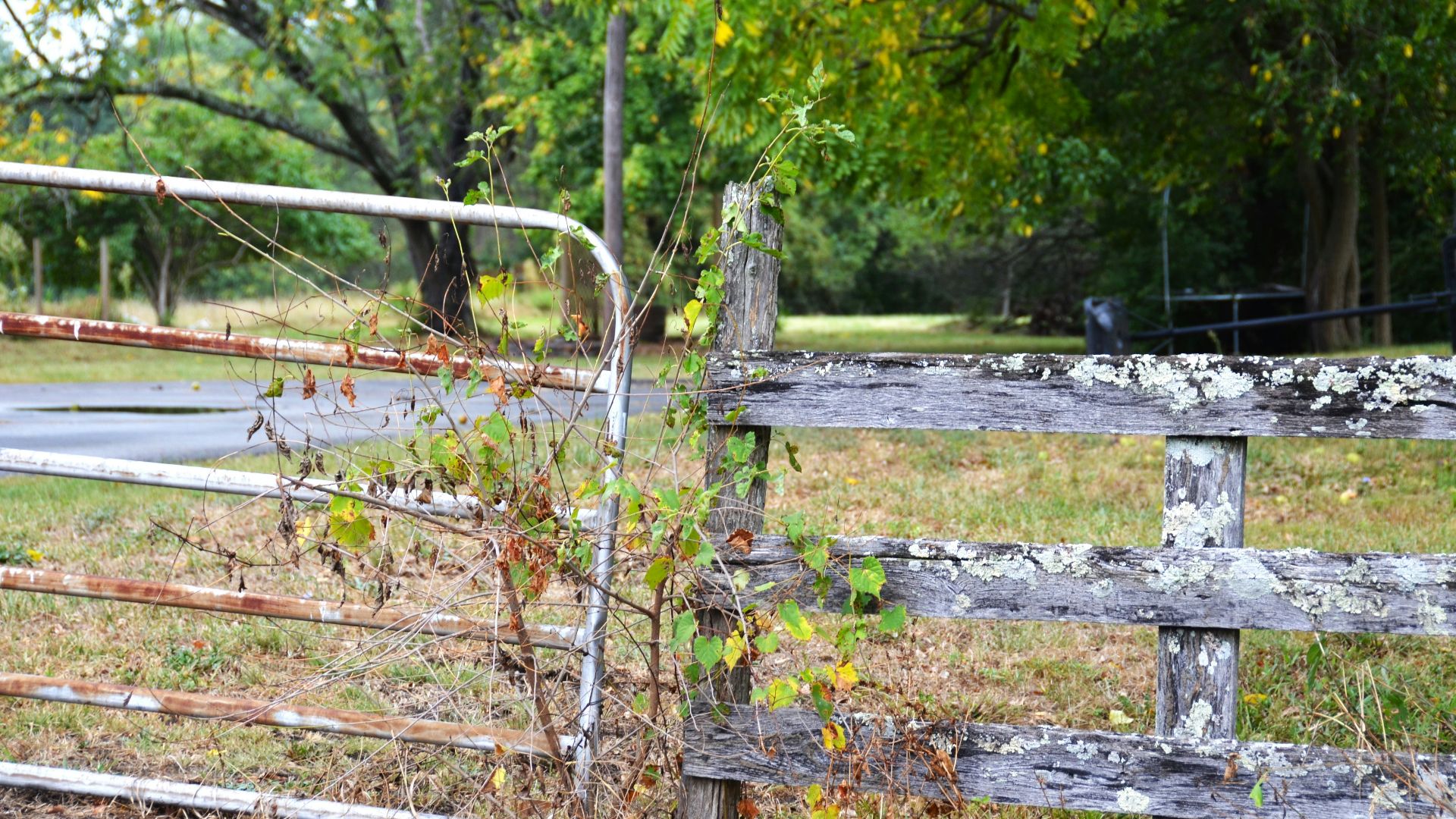 Rustic wooden fence and metal gate in a rural setting
