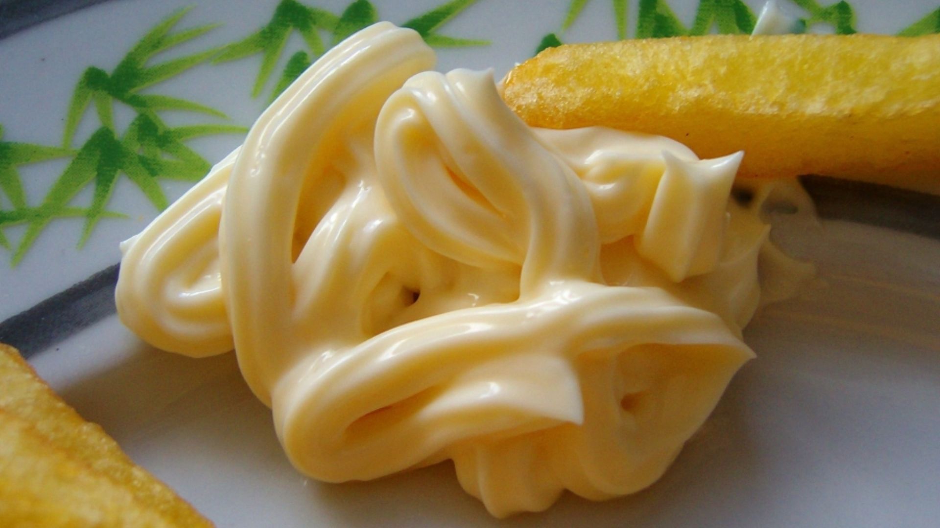 Zaanse mayonaise (mayonnaise from the Zaan district) and French fries