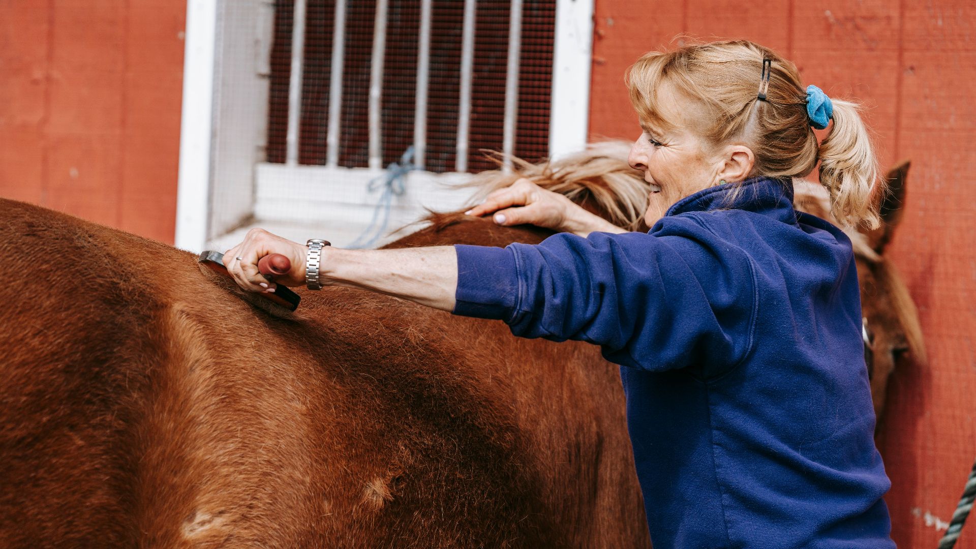 A smiling woman grooms a horse outdoors, showcasing equestrian care and bonding.
