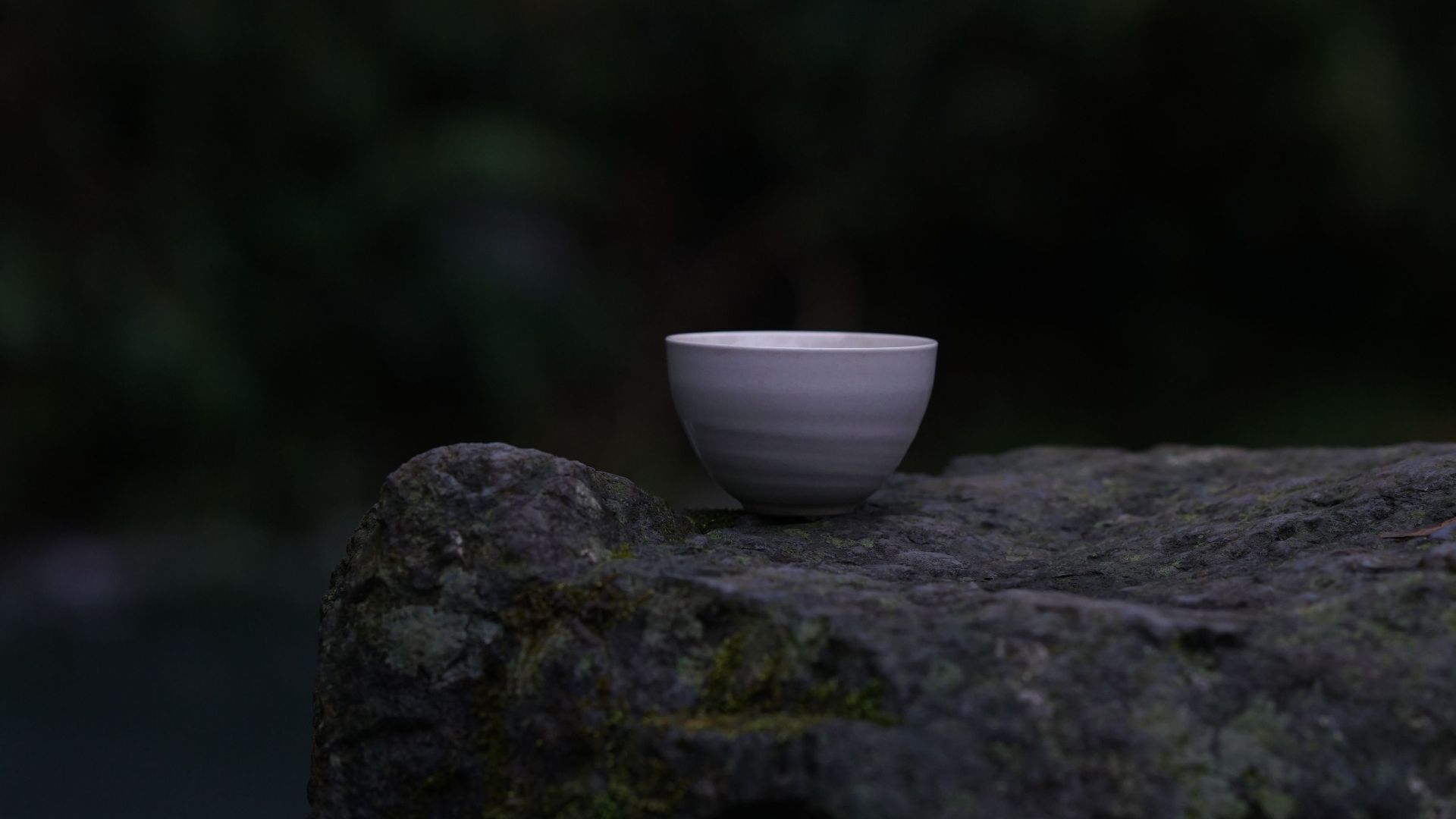 A white ceramic bowl sits on a mossy rock in a tranquil forest setting, conveying serenity.
