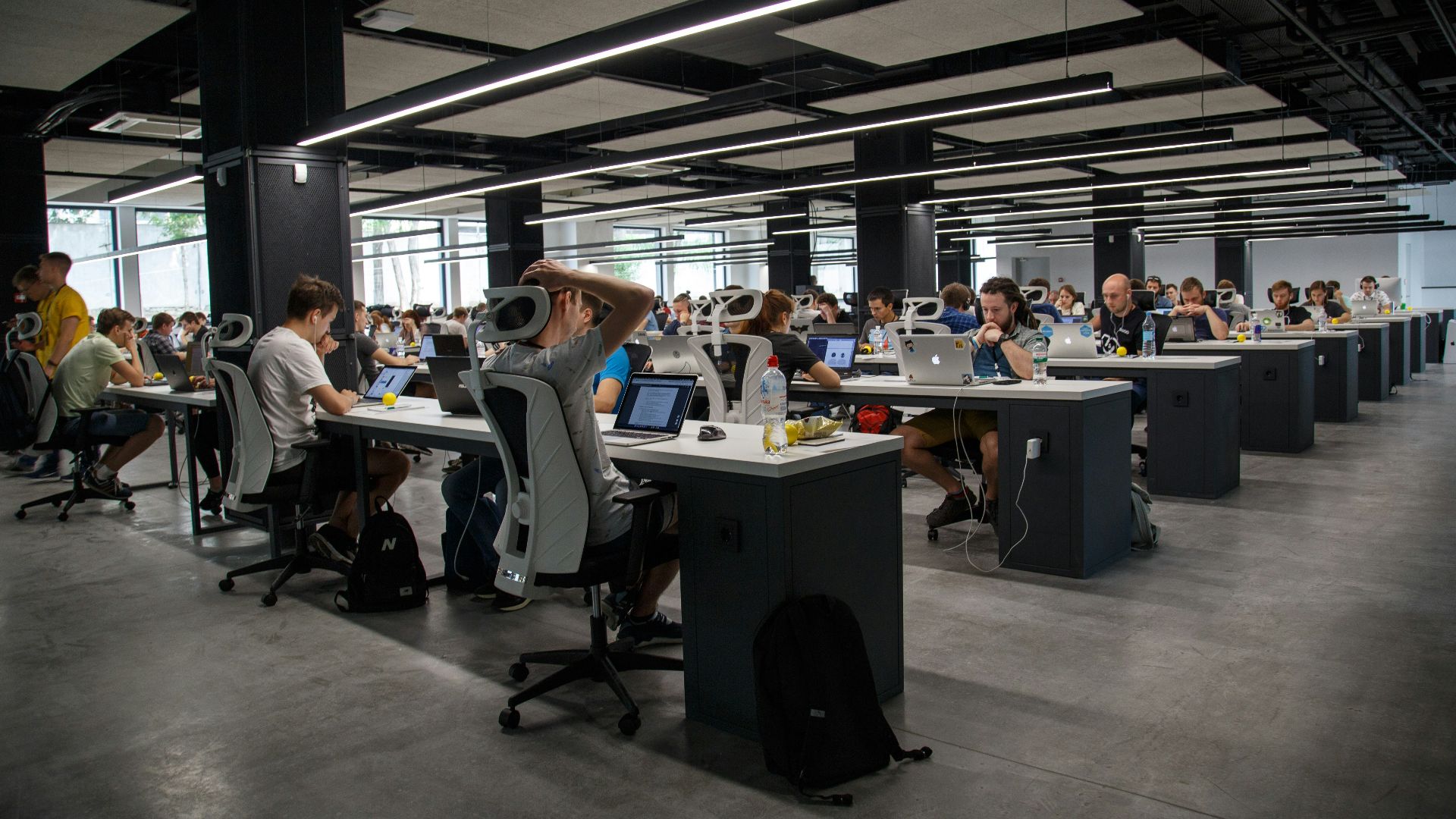people doing office works