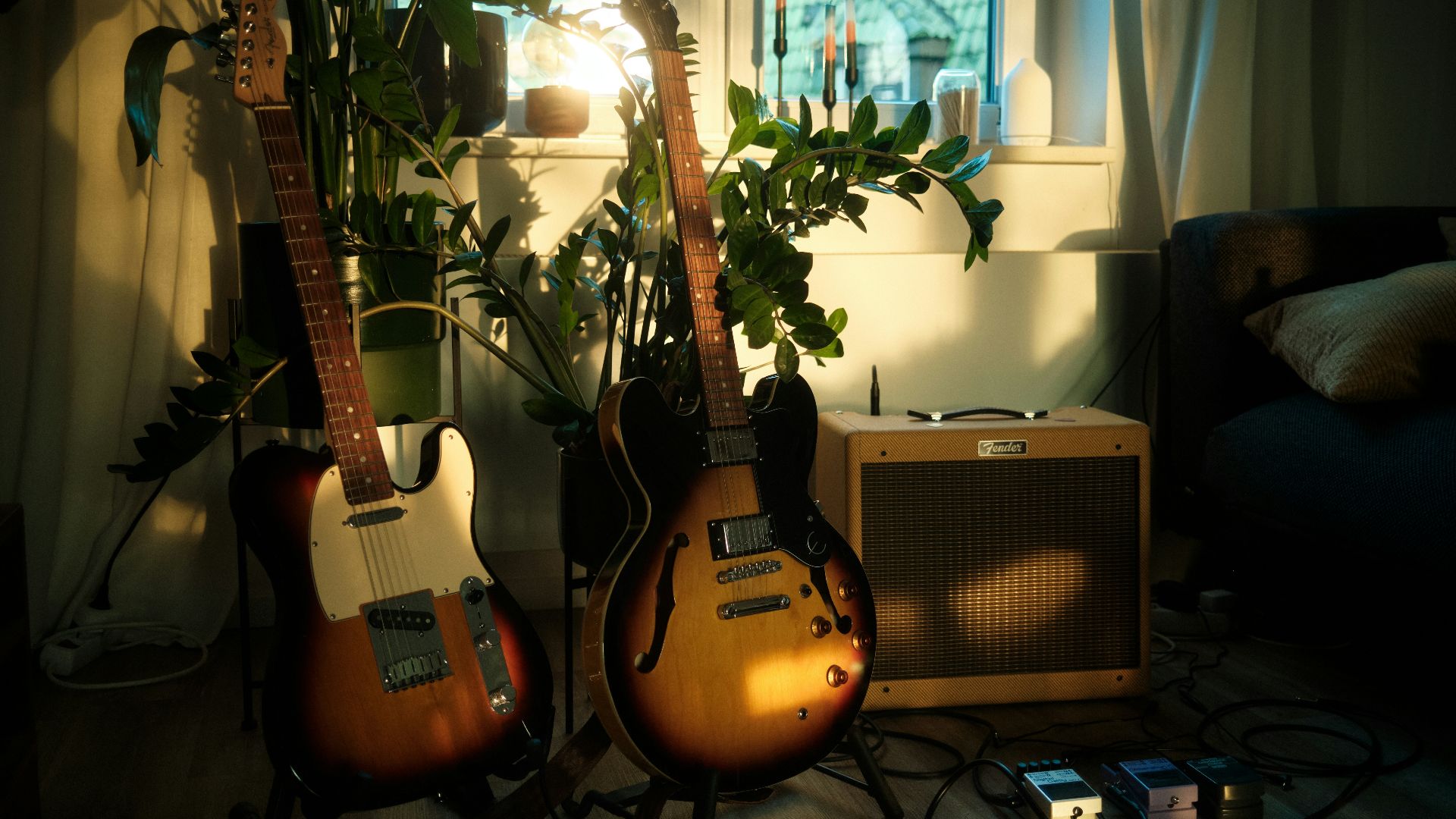 a couple of guitars sitting next to a plant