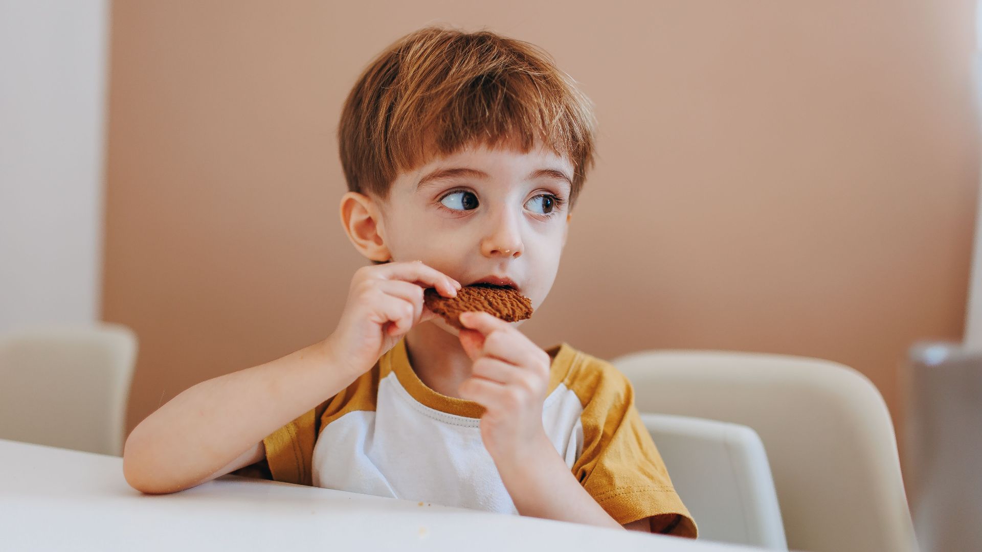 Adorable young boy in a casual setting enjoying a delicious cookie.