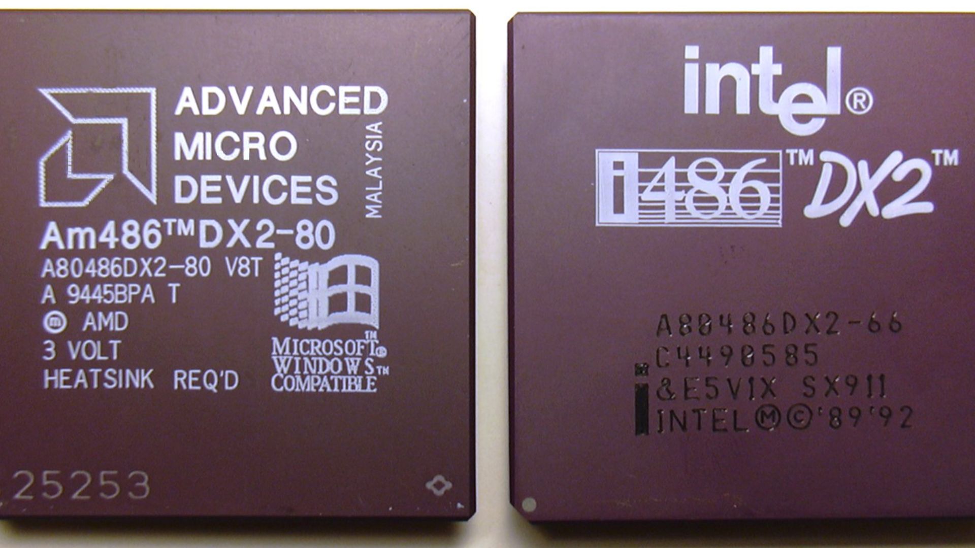 File:AM486 DX2-80 and i486 DX2-66.jpg