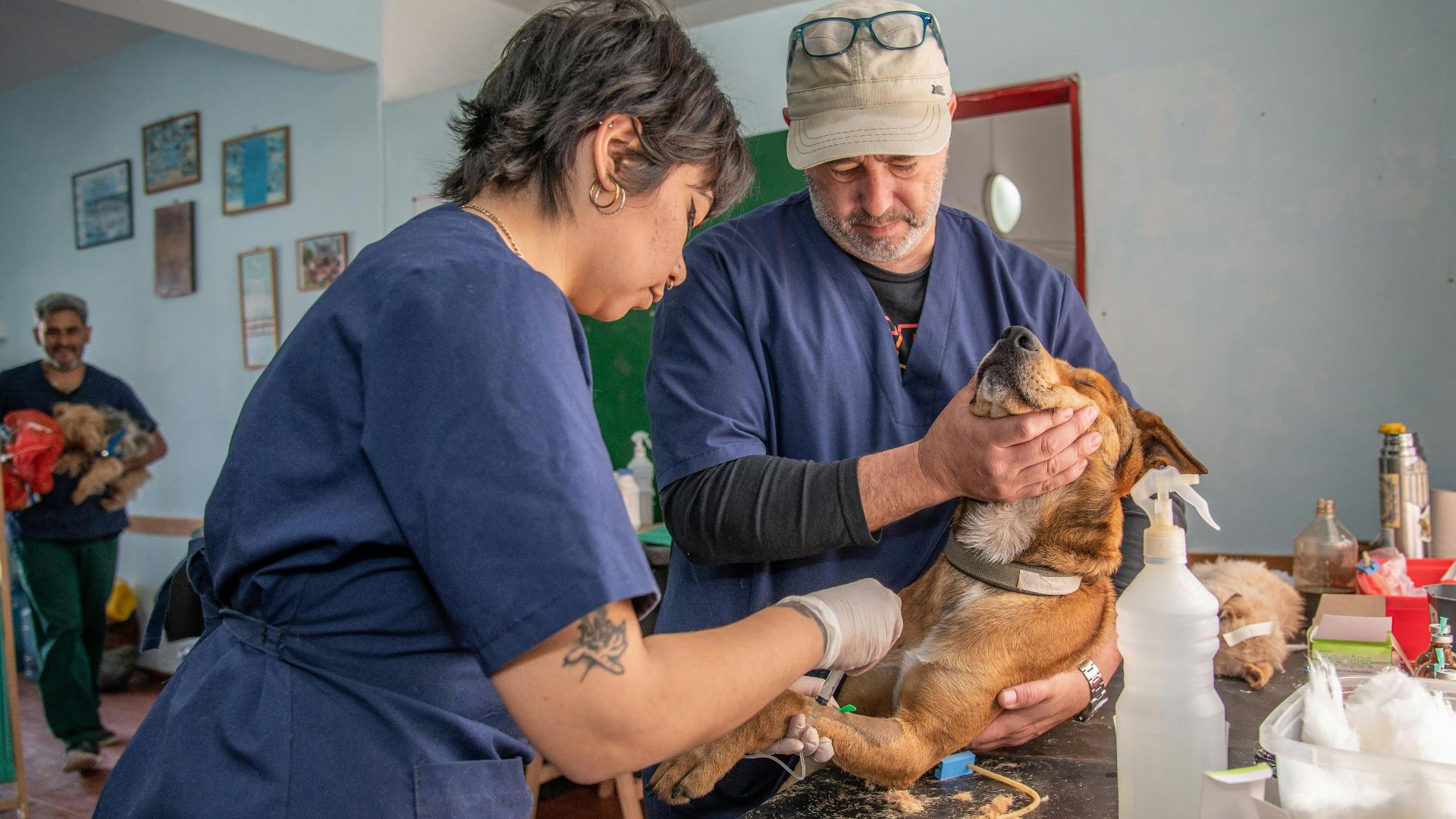 a man and a woman holding a dog in a room