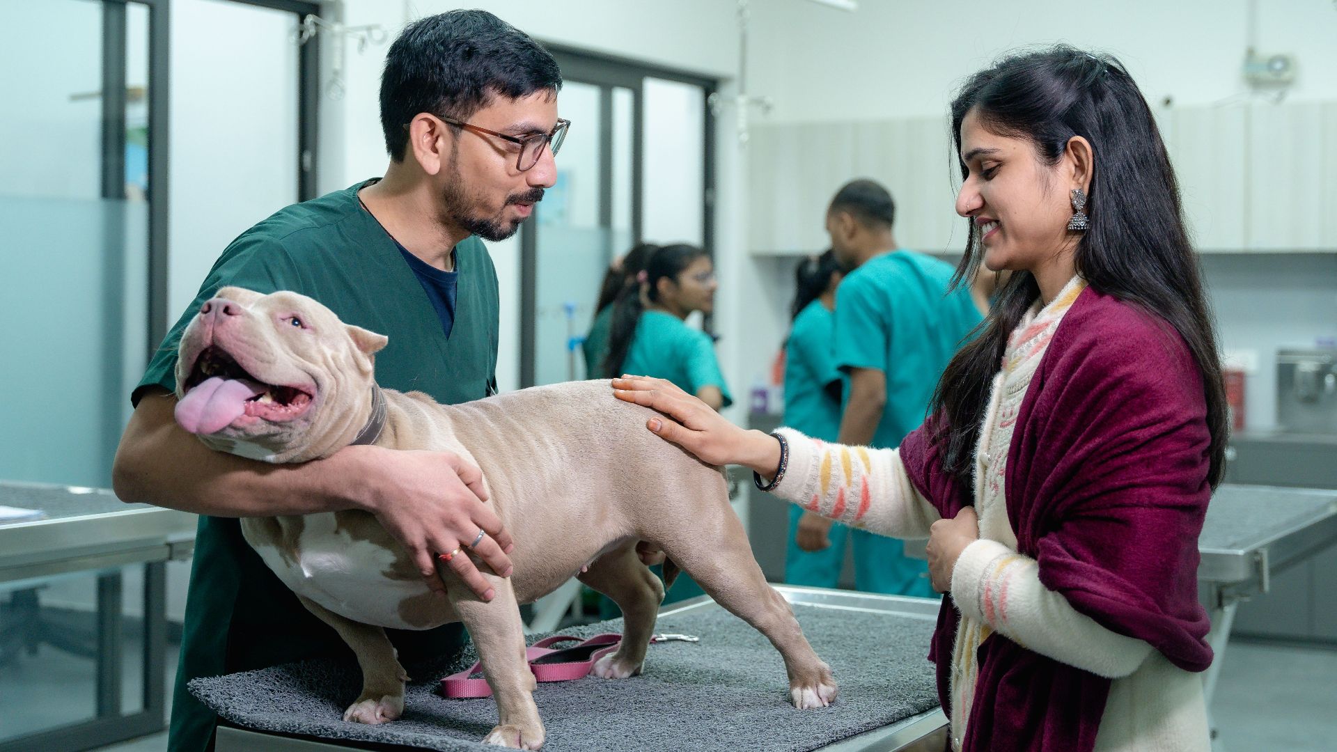 A vet examines a dog with its owner at a veterinary clinic.
