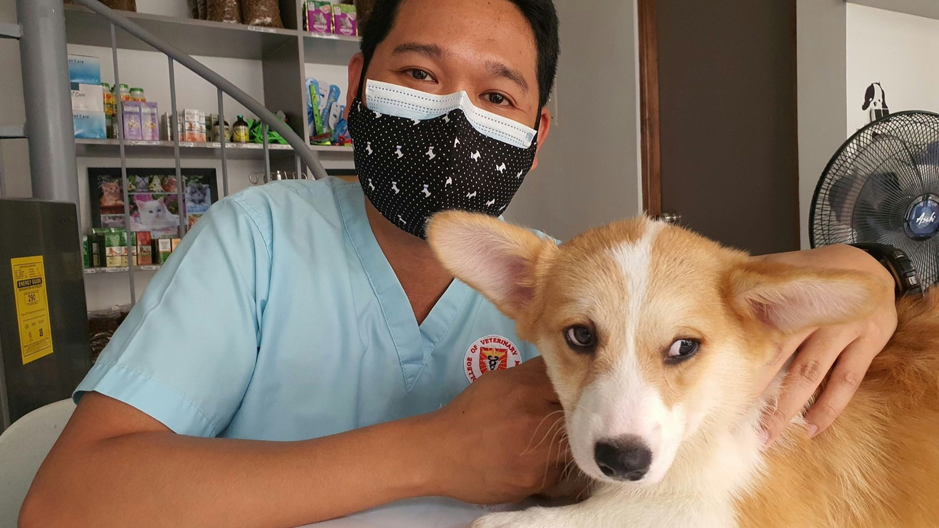 a man wearing a face mask sitting next to a dog