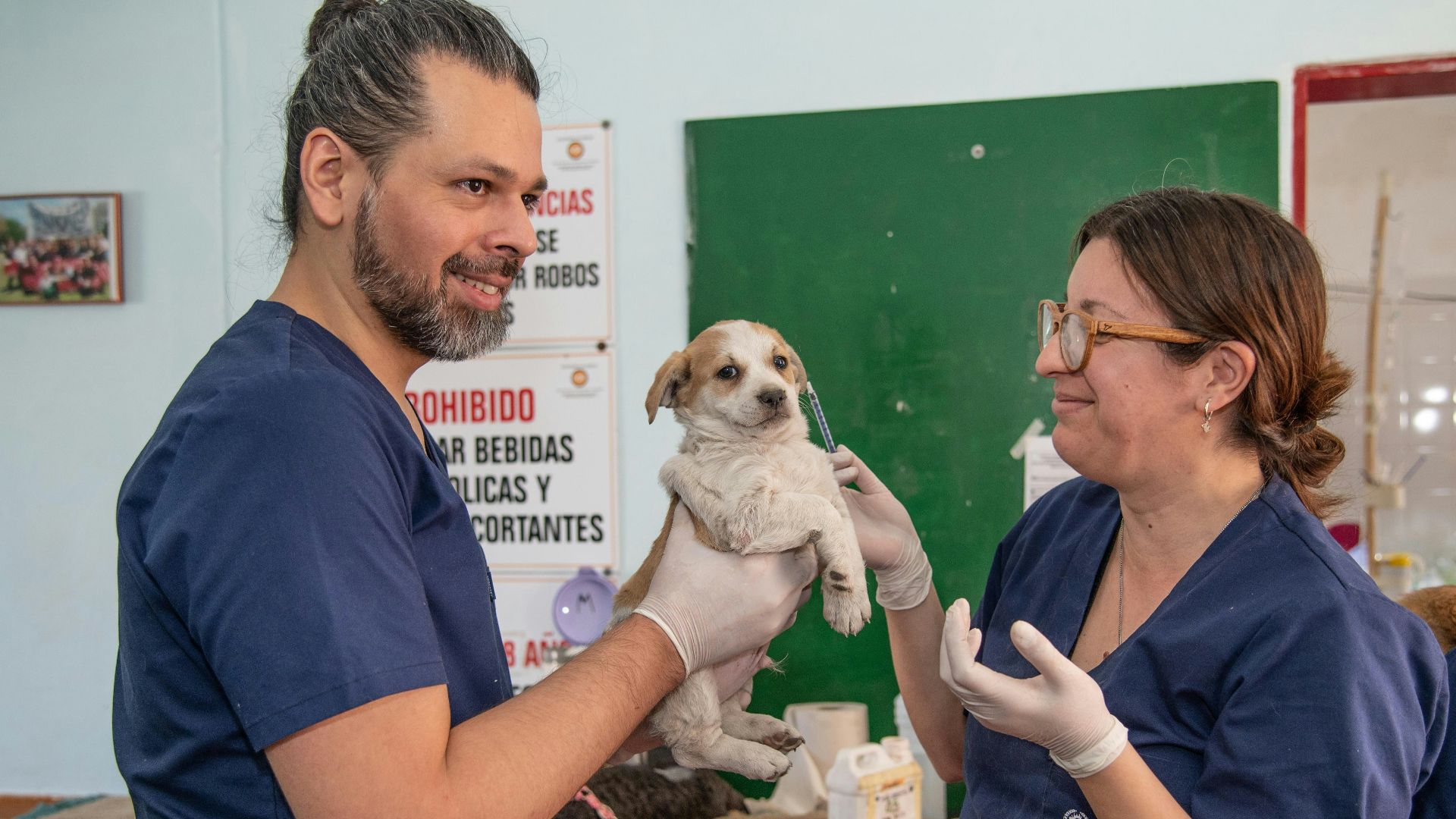 a man holding a small dog in a room