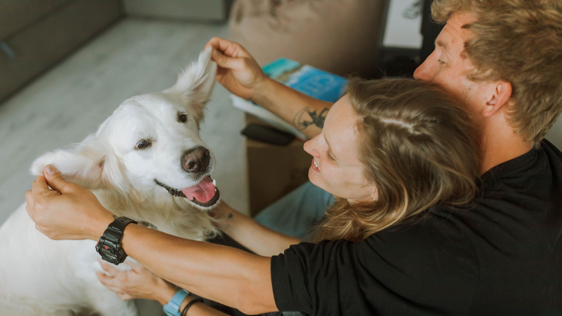 A loving couple embraces their happy Golden Retriever in a cozy indoor setting, capturing warmth and affection.