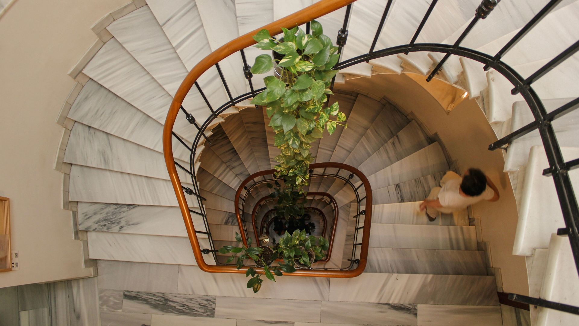 Top view of a spiral staircase with marble steps and a central plant, showcasing intricate design.