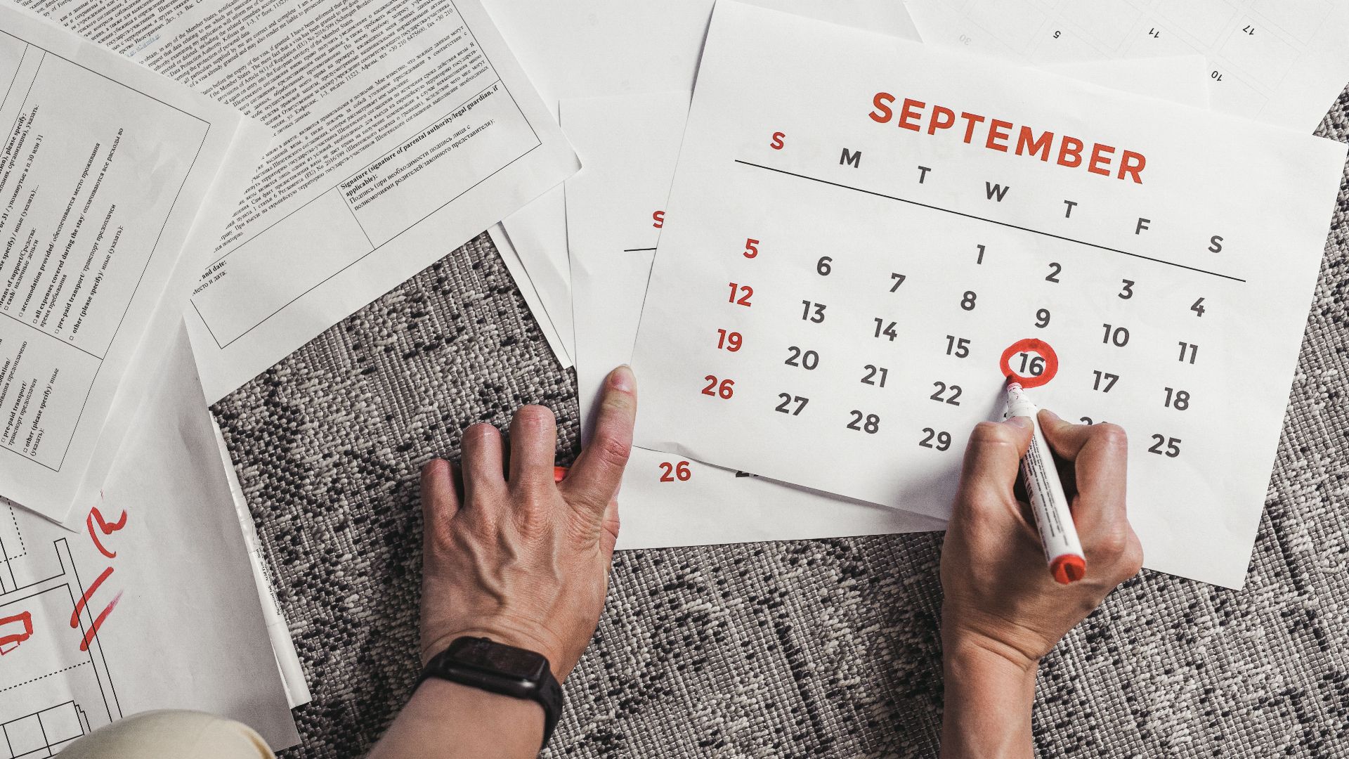 Hands holding a calendar with September dates encircled, surrounded by documents on a carpet.