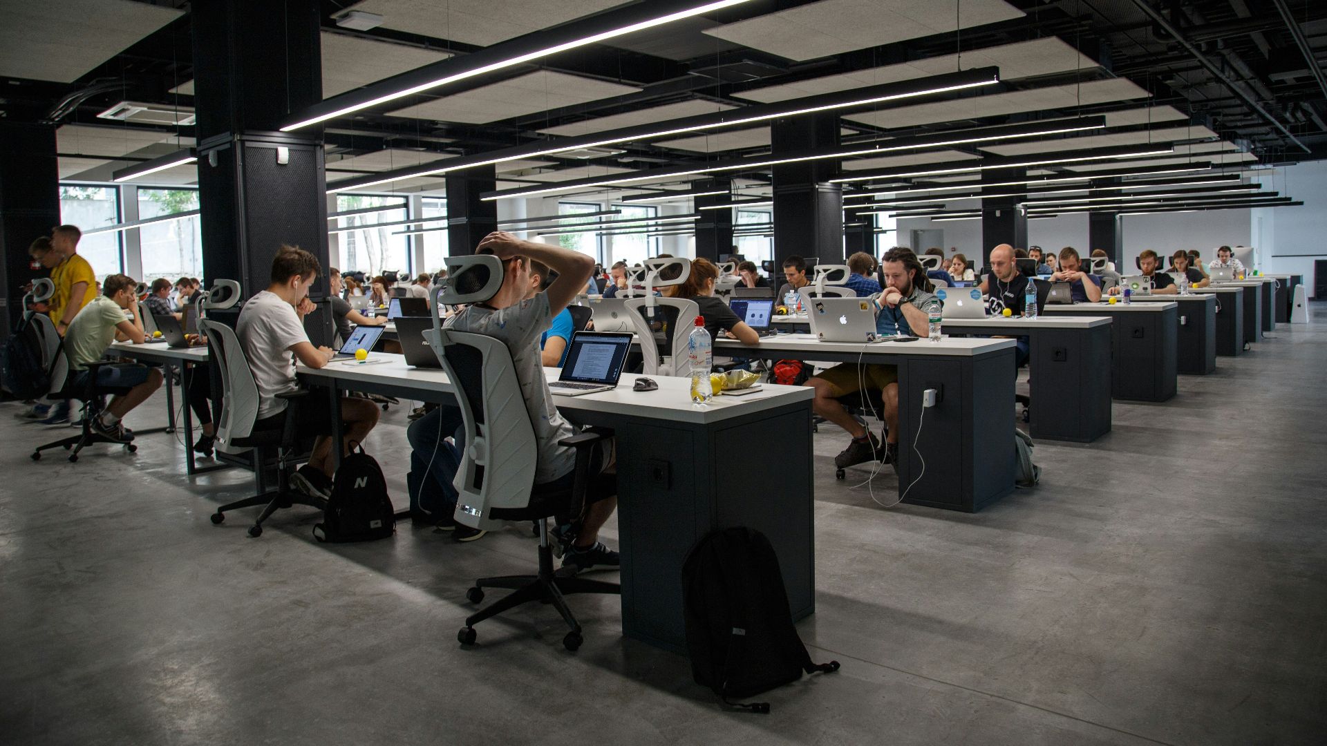 people doing office works