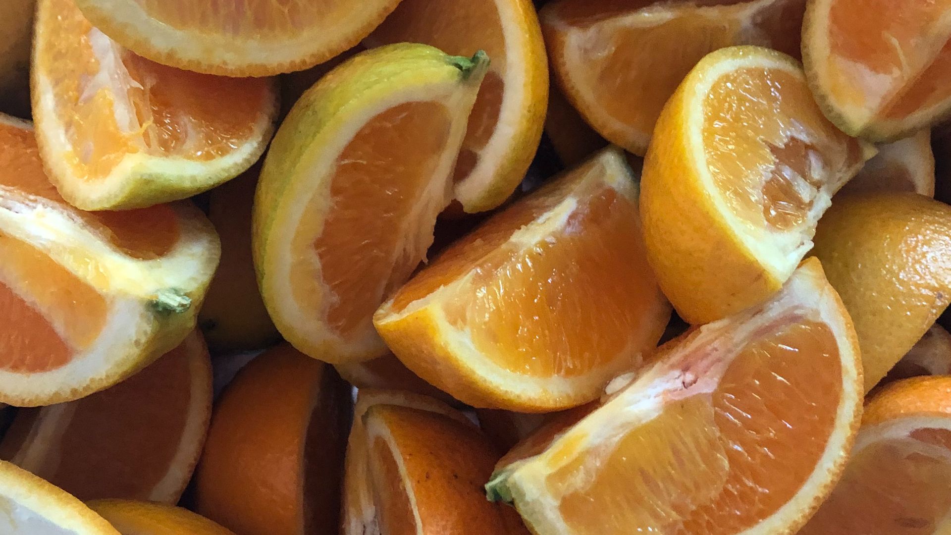 FL Oranges in a School Lunch tin