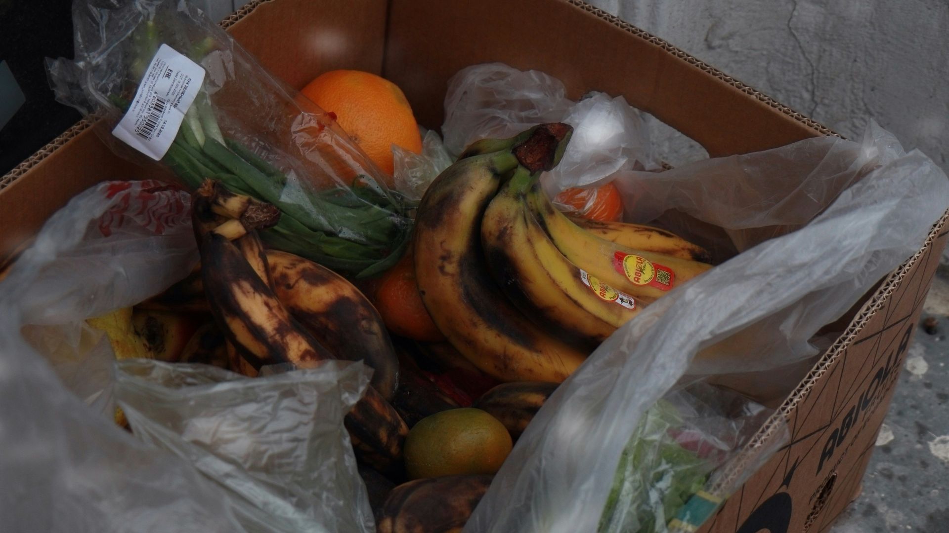 orange fruits on brown cardboard box