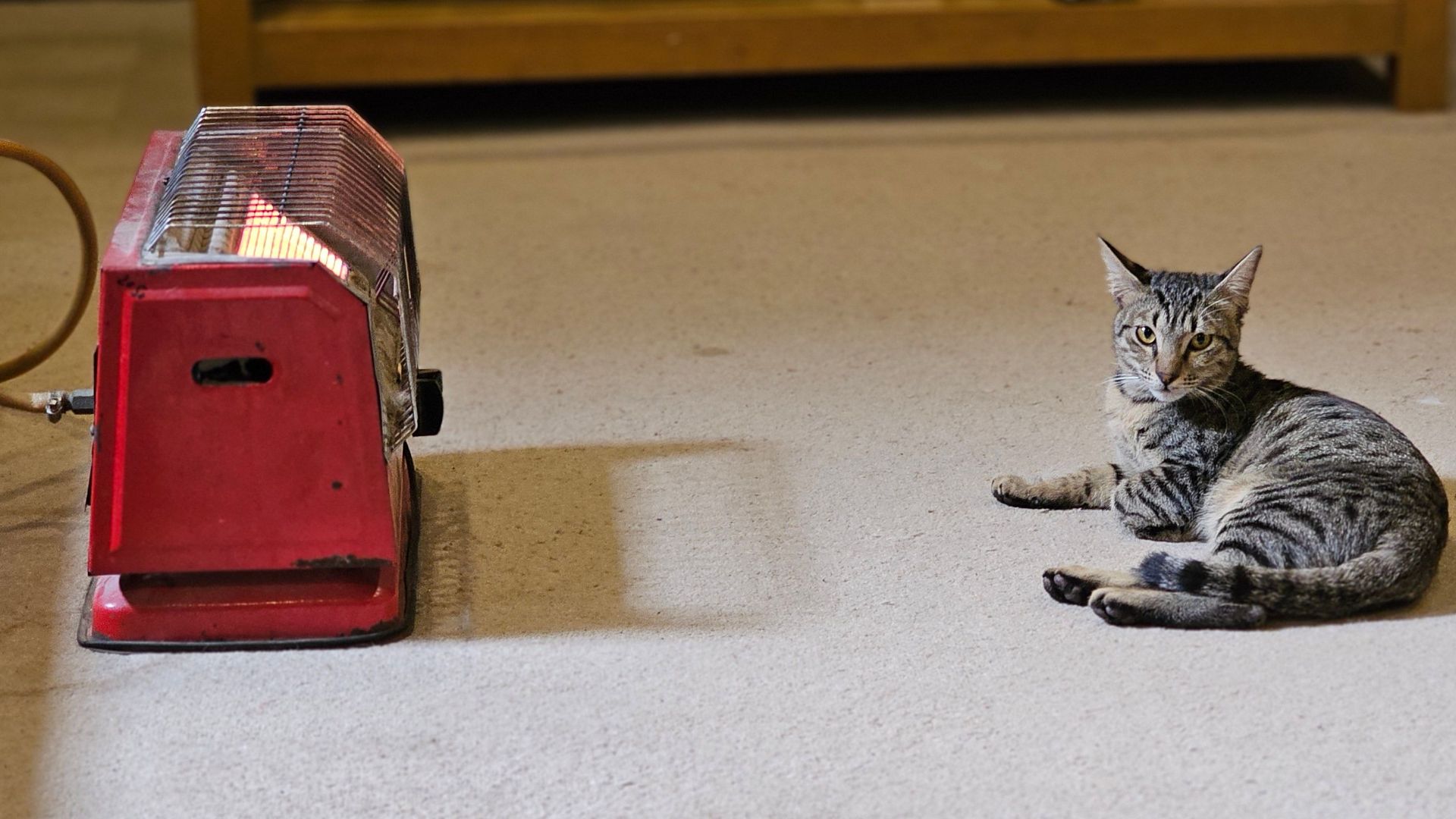 A tabby cat lying comfortably on the floor beside a red heater indoors.