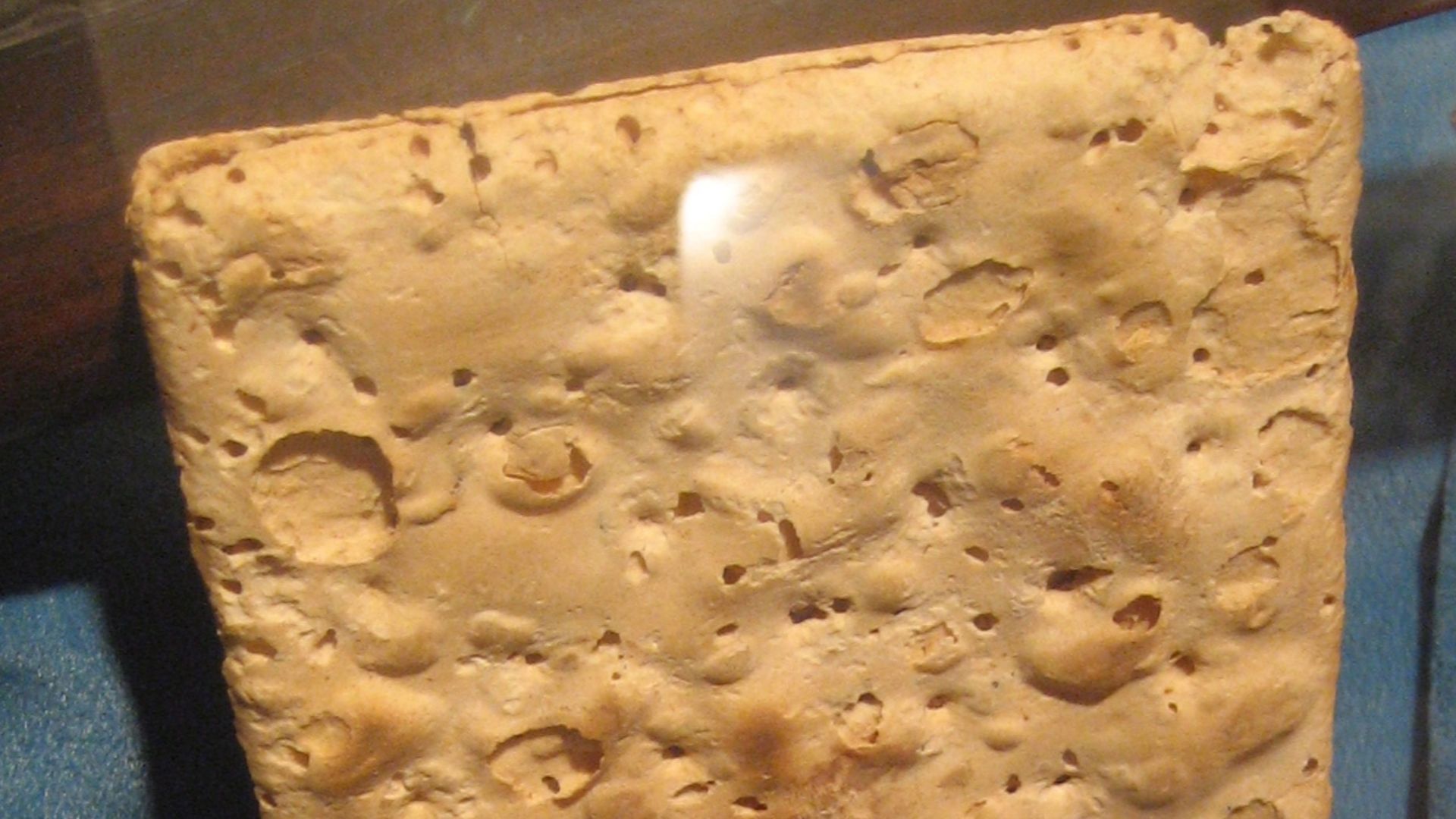 Preserved hardtack from U.S. Civil War, Wentworth Museum, Pensacola, Florida.