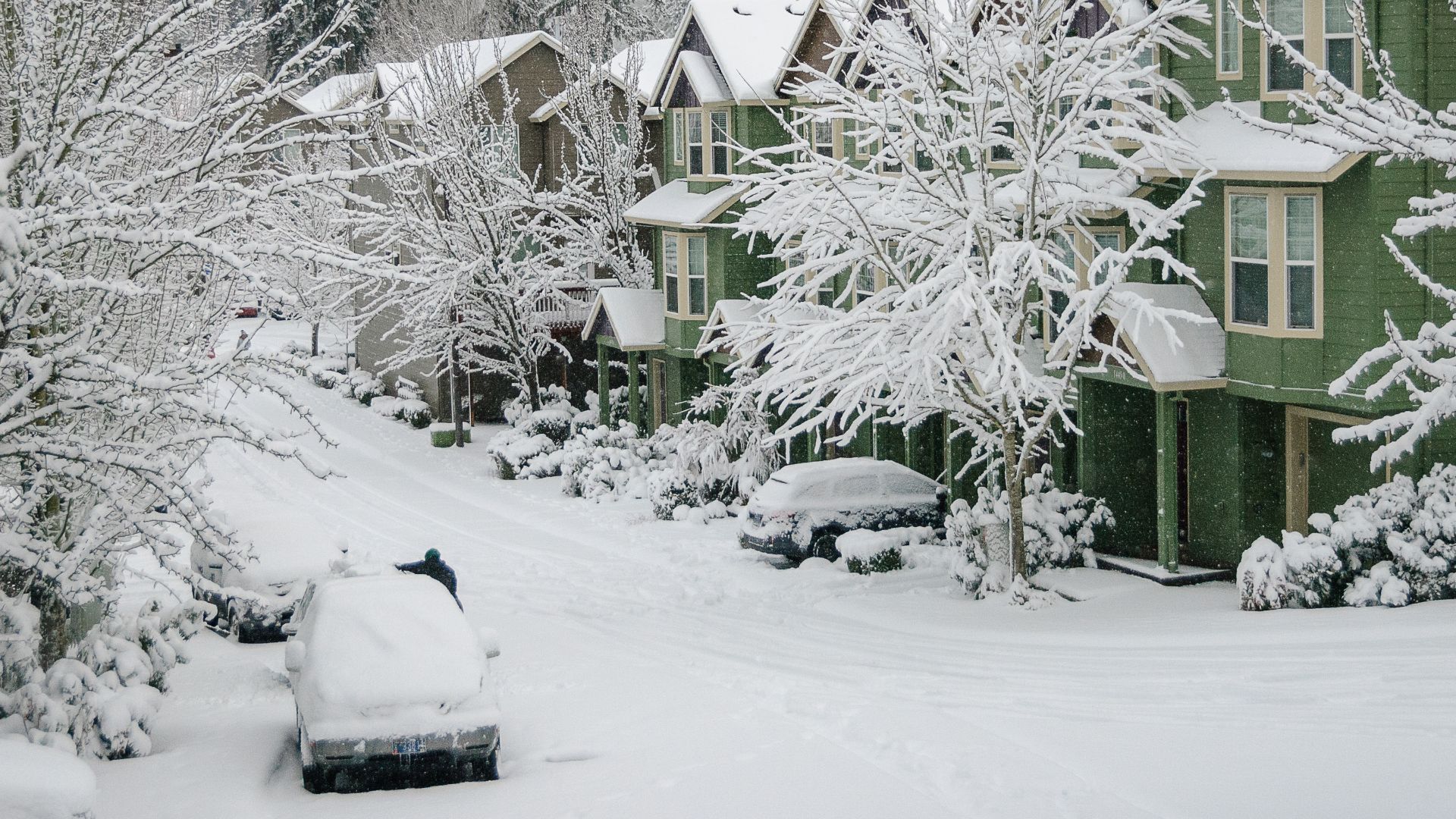 Our neighborhood after the snow