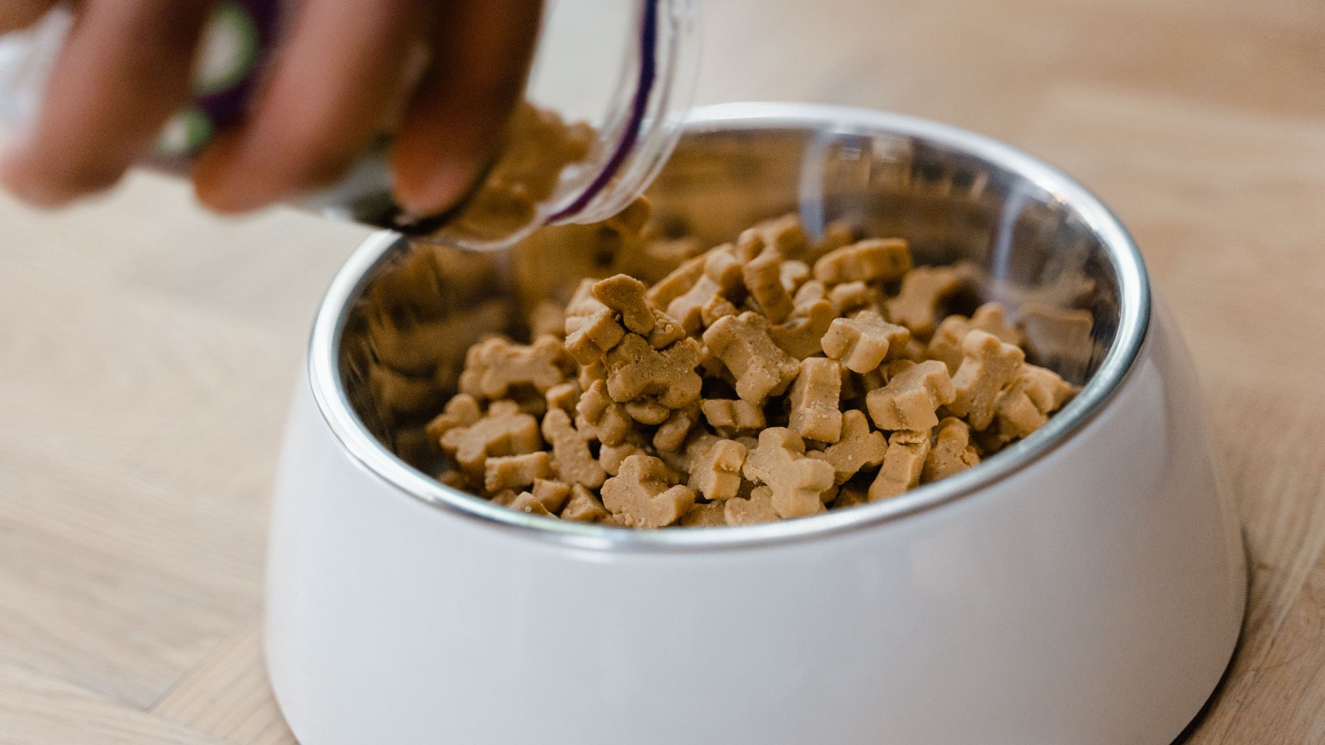 Close-up of hand pouring dog biscuits into a bowl, perfect for pet care themes.