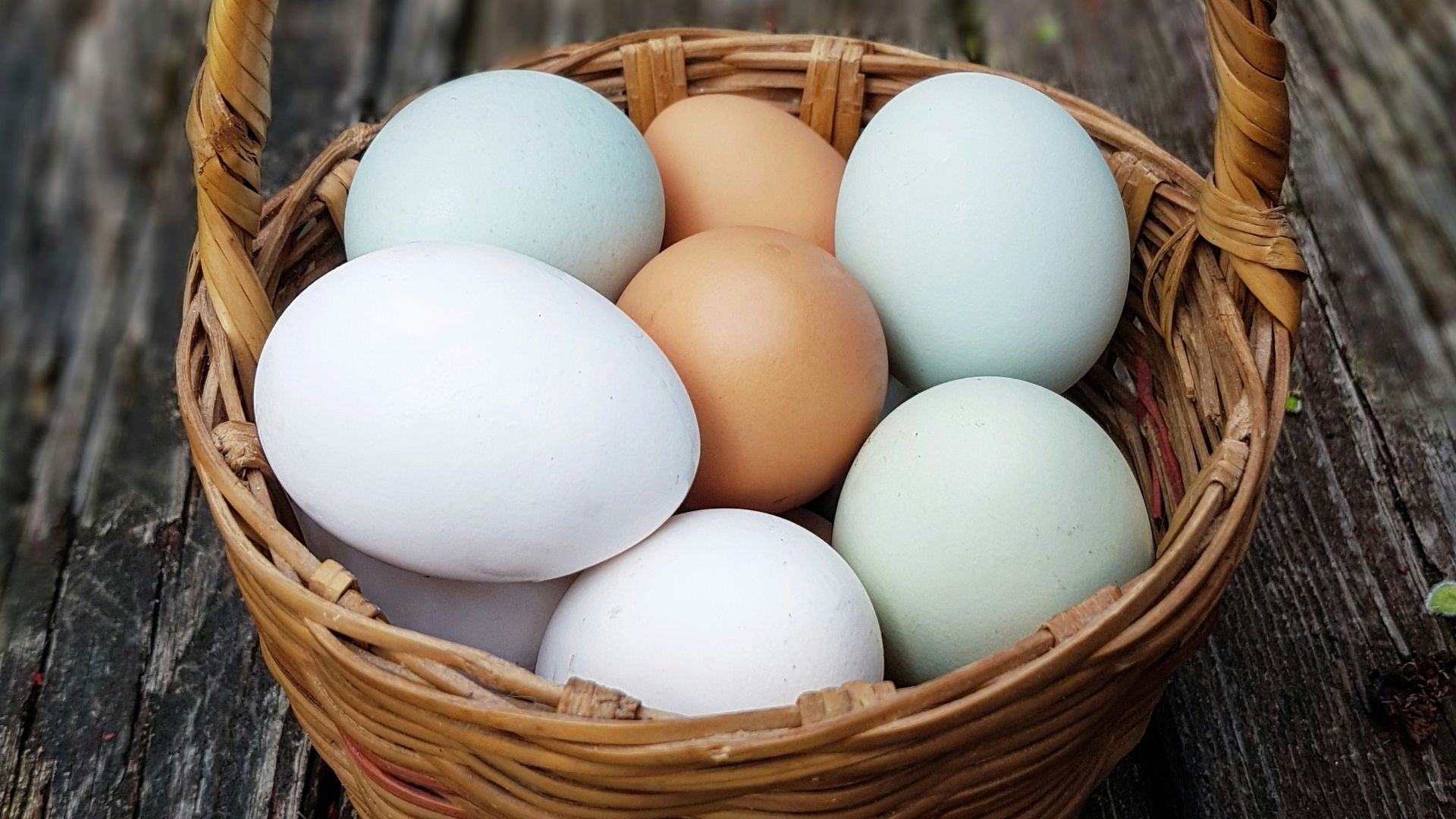 basket of eggs